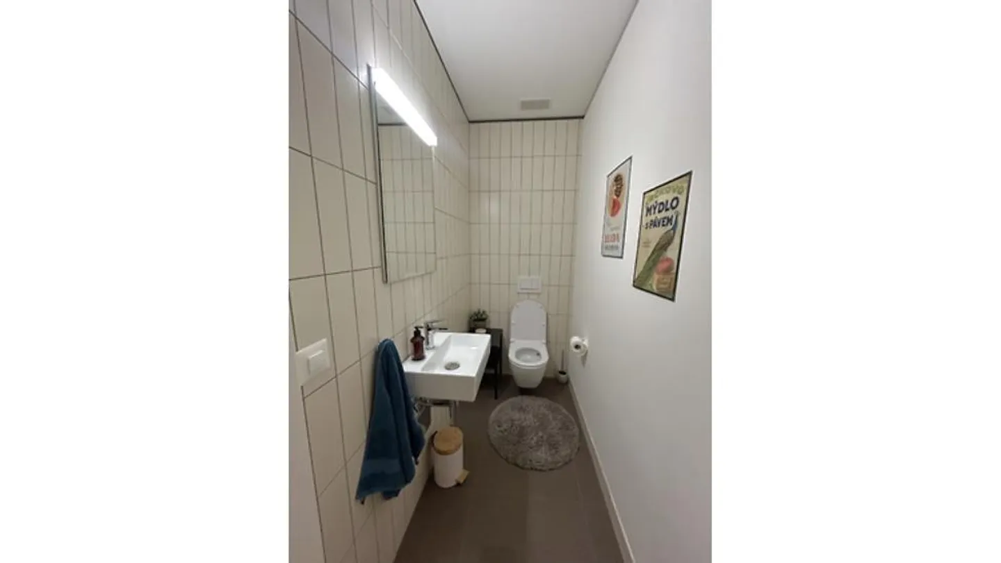 APPARTEMENT 3½ PIÈCES À ZURICH - DISTRICT 9 ALBISRIEDEN, MEUBLÉ, TEMPORAIRE - Photo 7 sur 10