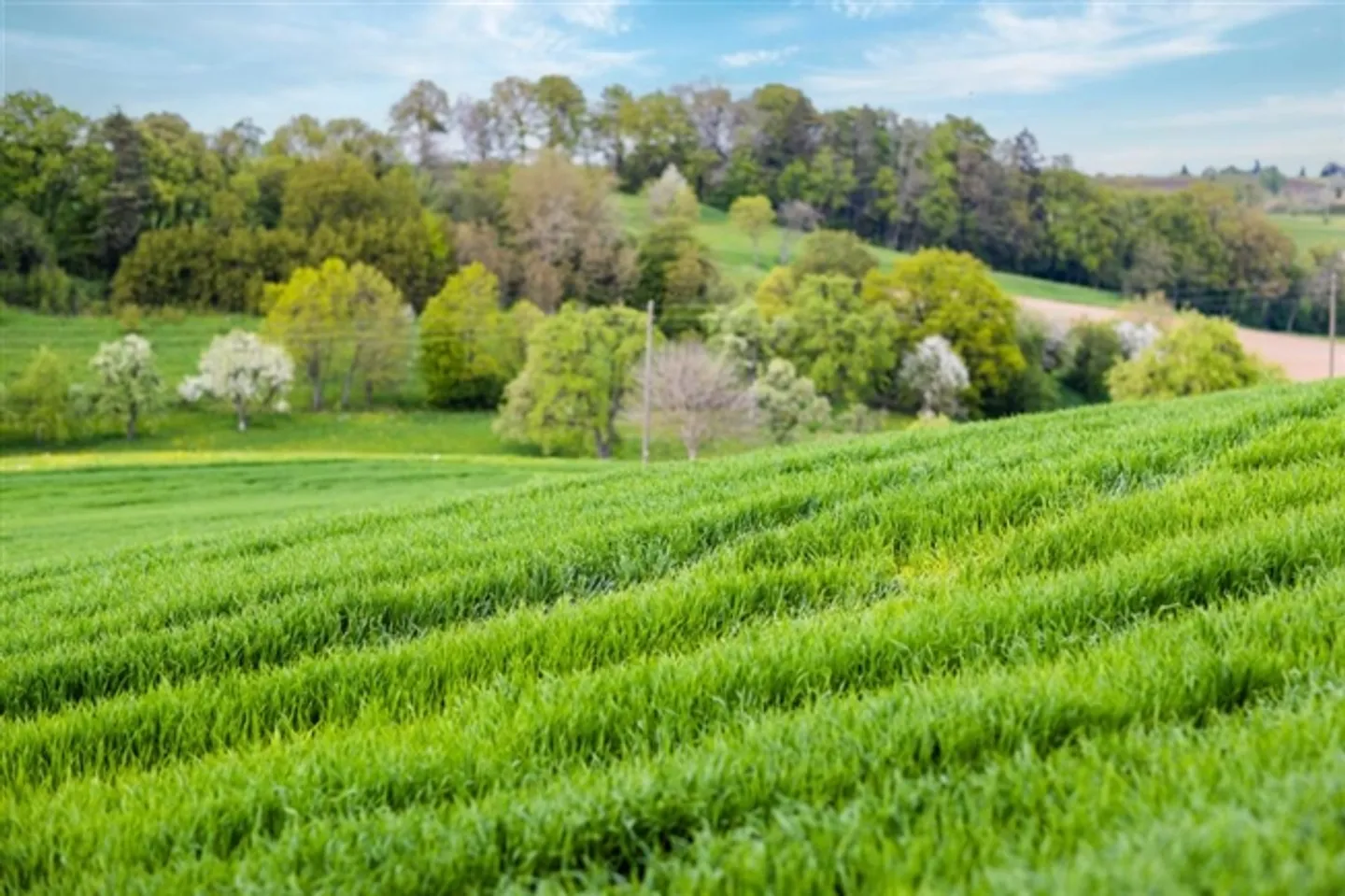 Terreno agricolo con capanna e vista panoramica su Ginevra - Foto 1 di 1