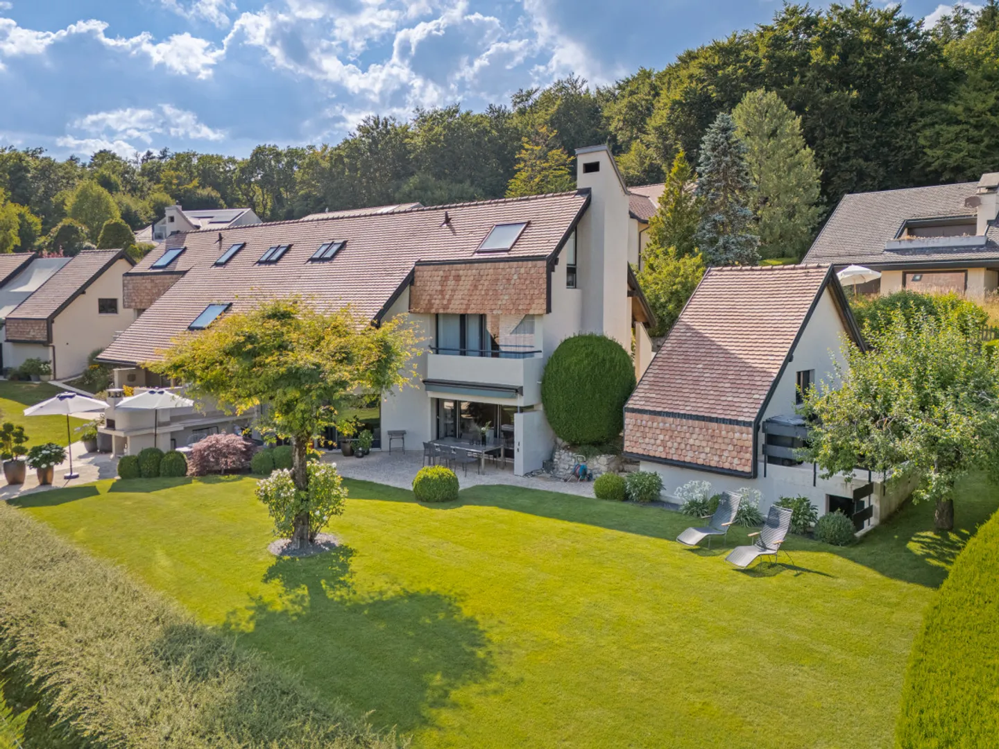 Vue spectaculaire et confort moderne à Genolier - Photo 4 sur 13