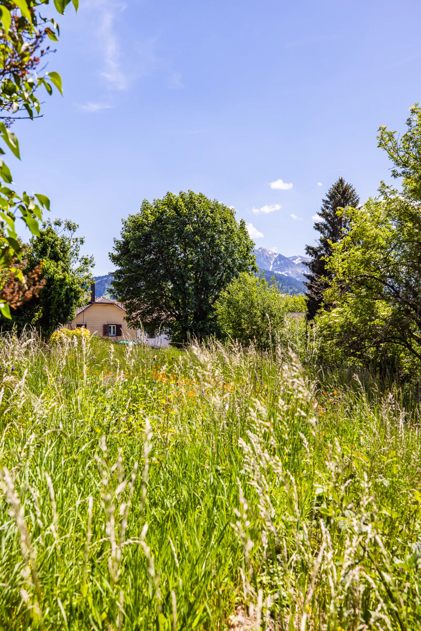 Nuovo appartamento 3½ locali nel cuore della Gruyère - Foto 9 di 10