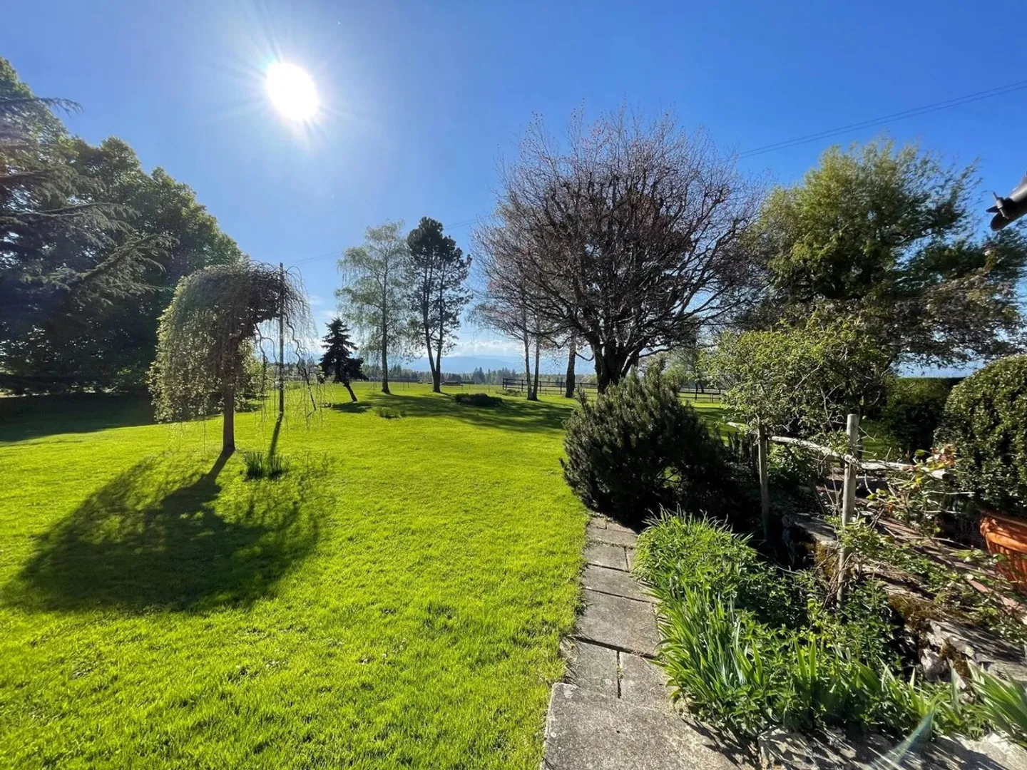 Magnifico terreno per 1 a 3 ville - 540 spb con parco e area di dressage - Foto 1 di 5