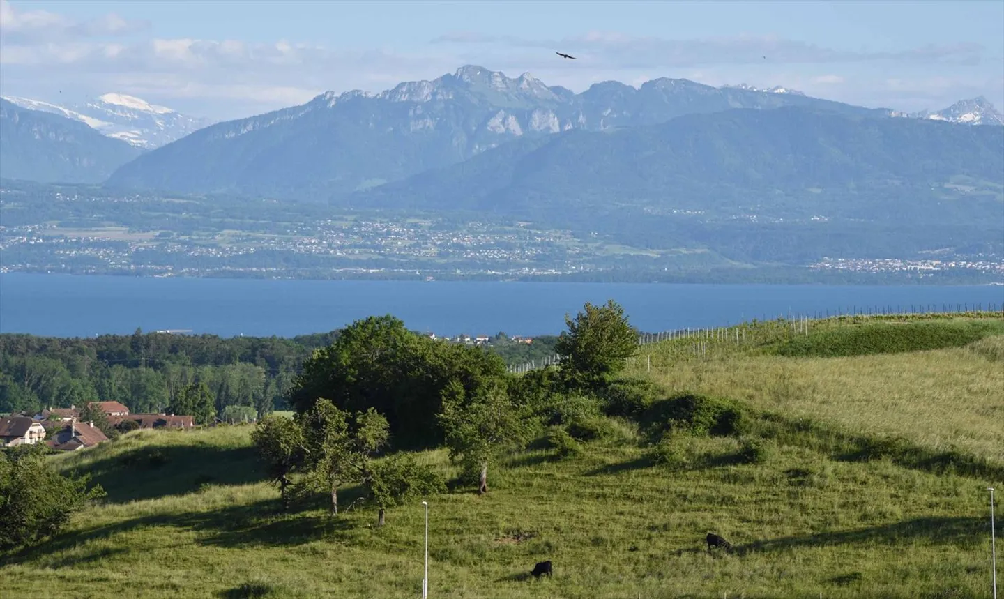 Vista sul lago Grande villa indipendente a Yens s/Morges - Foto 1 di 13