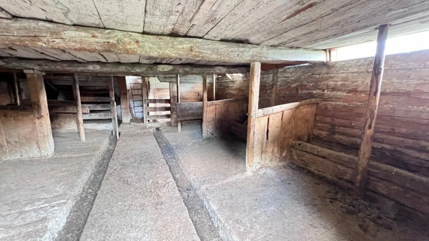 A Piece of Alpine Home - Maiensäss - Ilanz (Surselva) - Photo 9 of 13