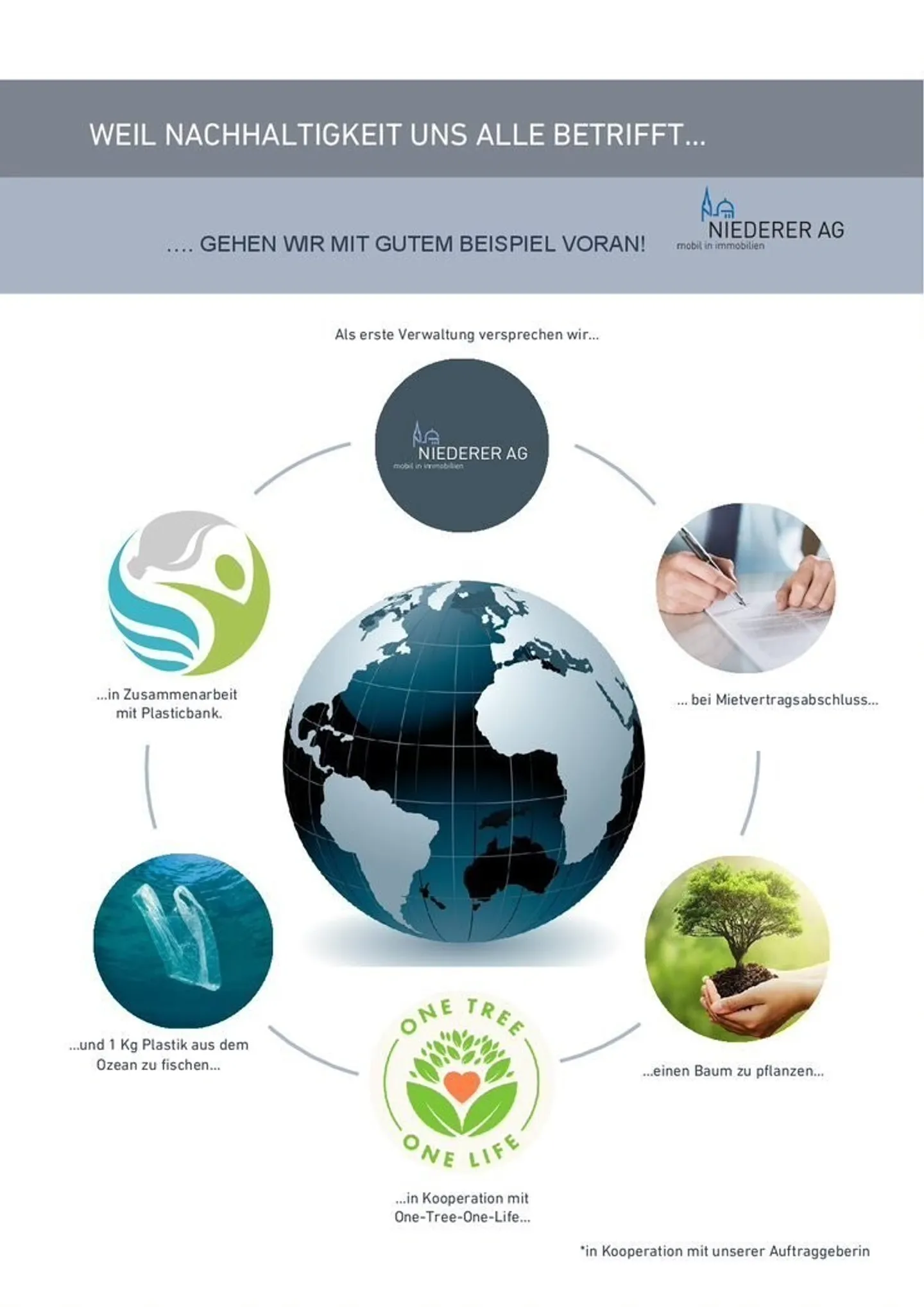 Piccolo ma potente! - Foto 9 di 9