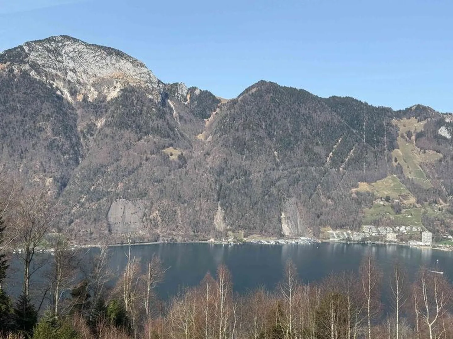 Single-family house with unobstructed lake view of Lake Lucerne - Photo 1 of 18