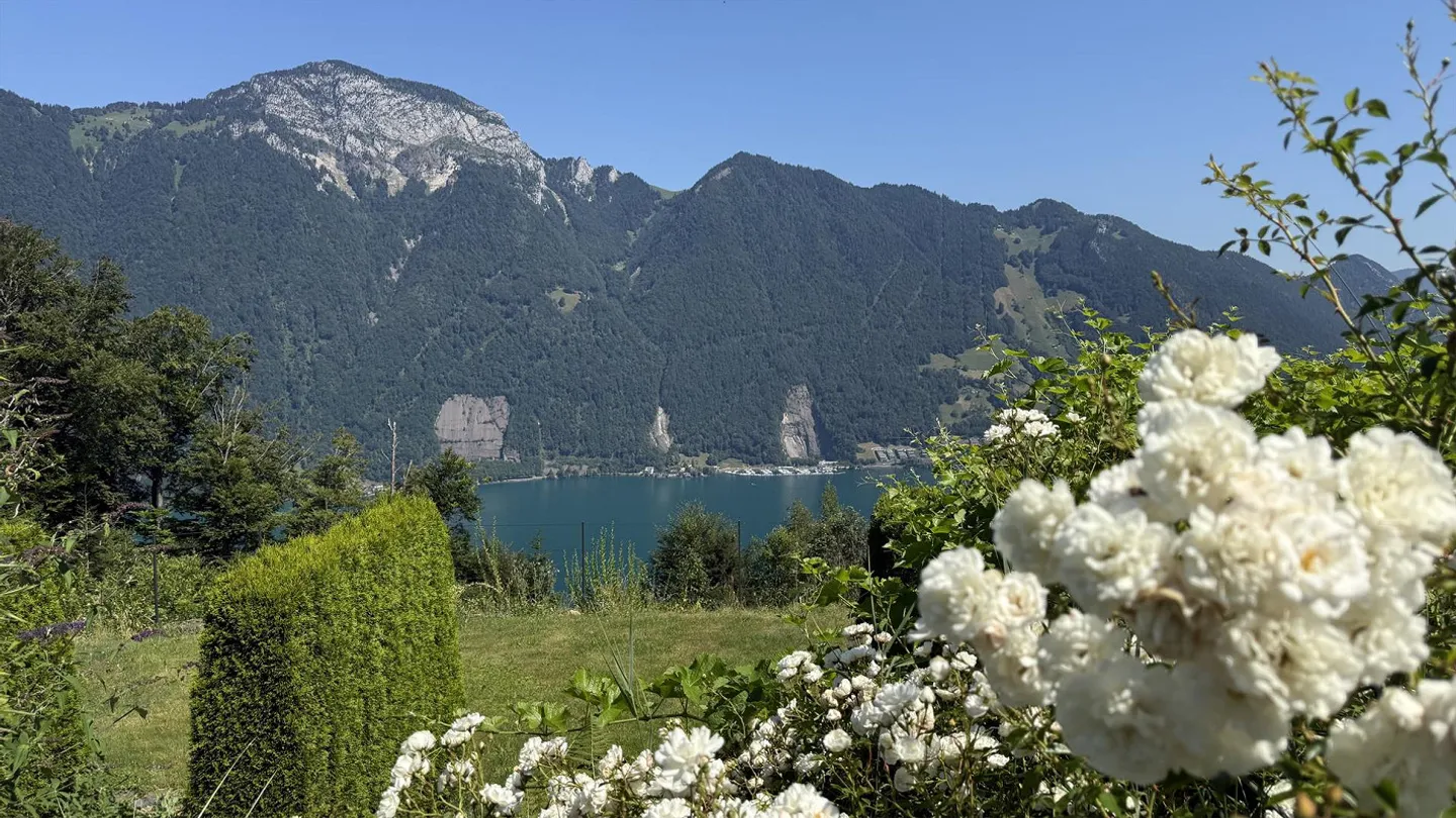 Single-family house with unobstructed lake view of Lake Lucerne - Photo 4 of 18