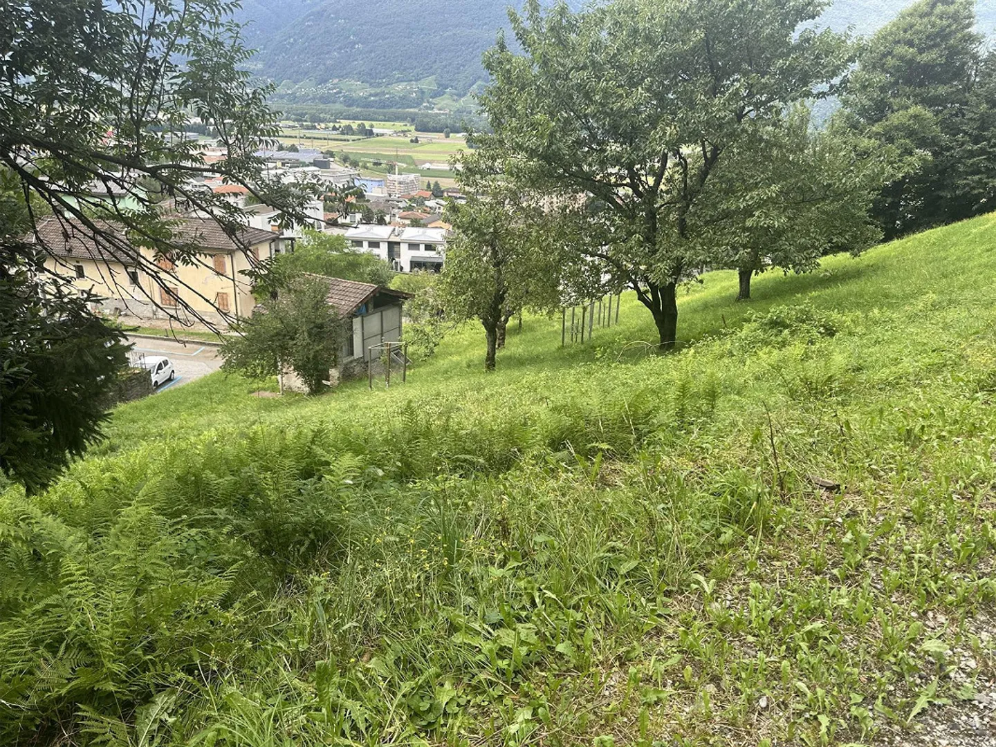 TERRAIN CONSTRUCTIBLE À CADENAZZO – ID 23571 - Photo 1 sur 4