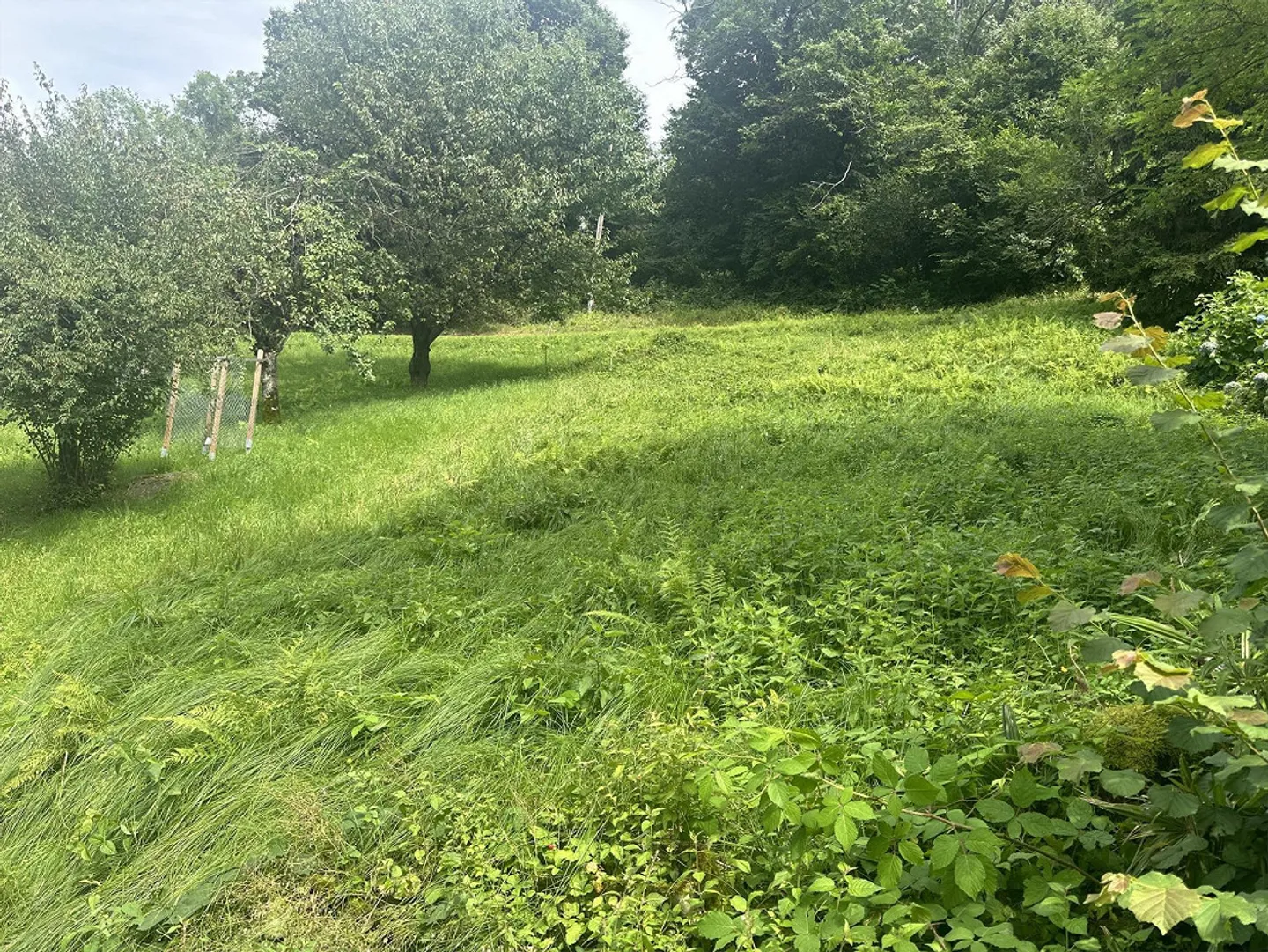 TERRAIN CONSTRUCTIBLE À CADENAZZO – ID 23571 - Photo 4 sur 4