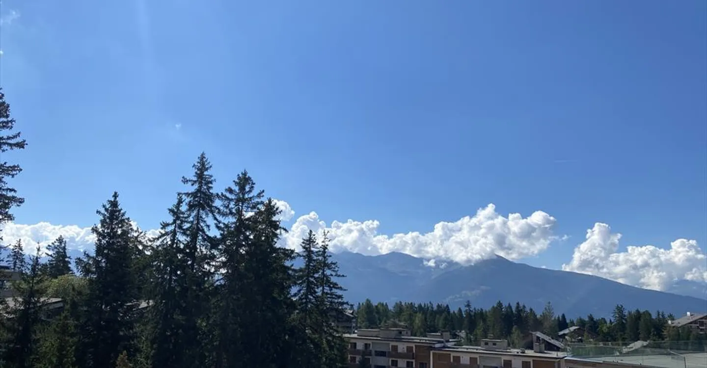 Appartement Confortable à Crans - Photo 7 sur 7