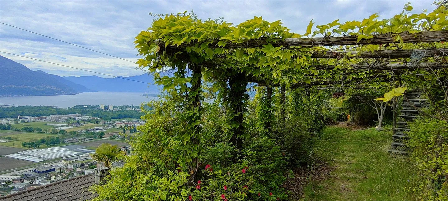 App. nuovo: 3.5 locale con piscina e vista mozzafiato sul Lago Maggiore - Foto 7 di 14
