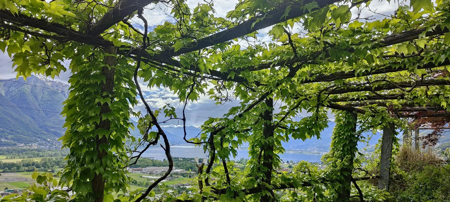App. nuovo: 3.5 locale con piscina e vista mozzafiato sul Lago Maggiore - Foto 8 di 14