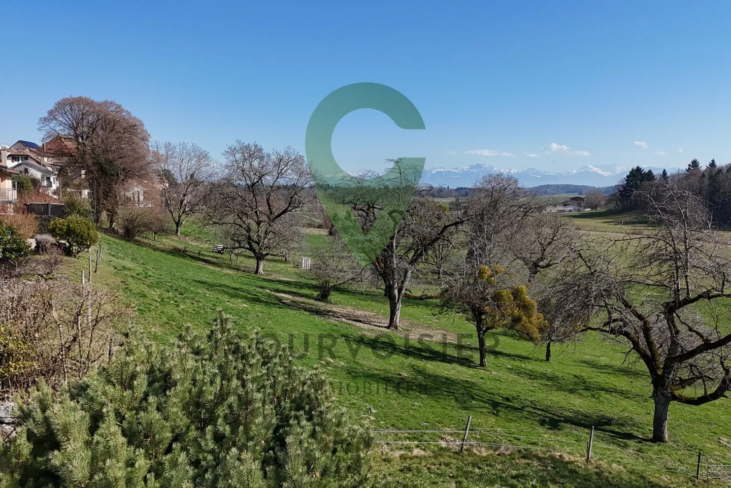 Versatile House with Investment Potential - Photo 2 of 12