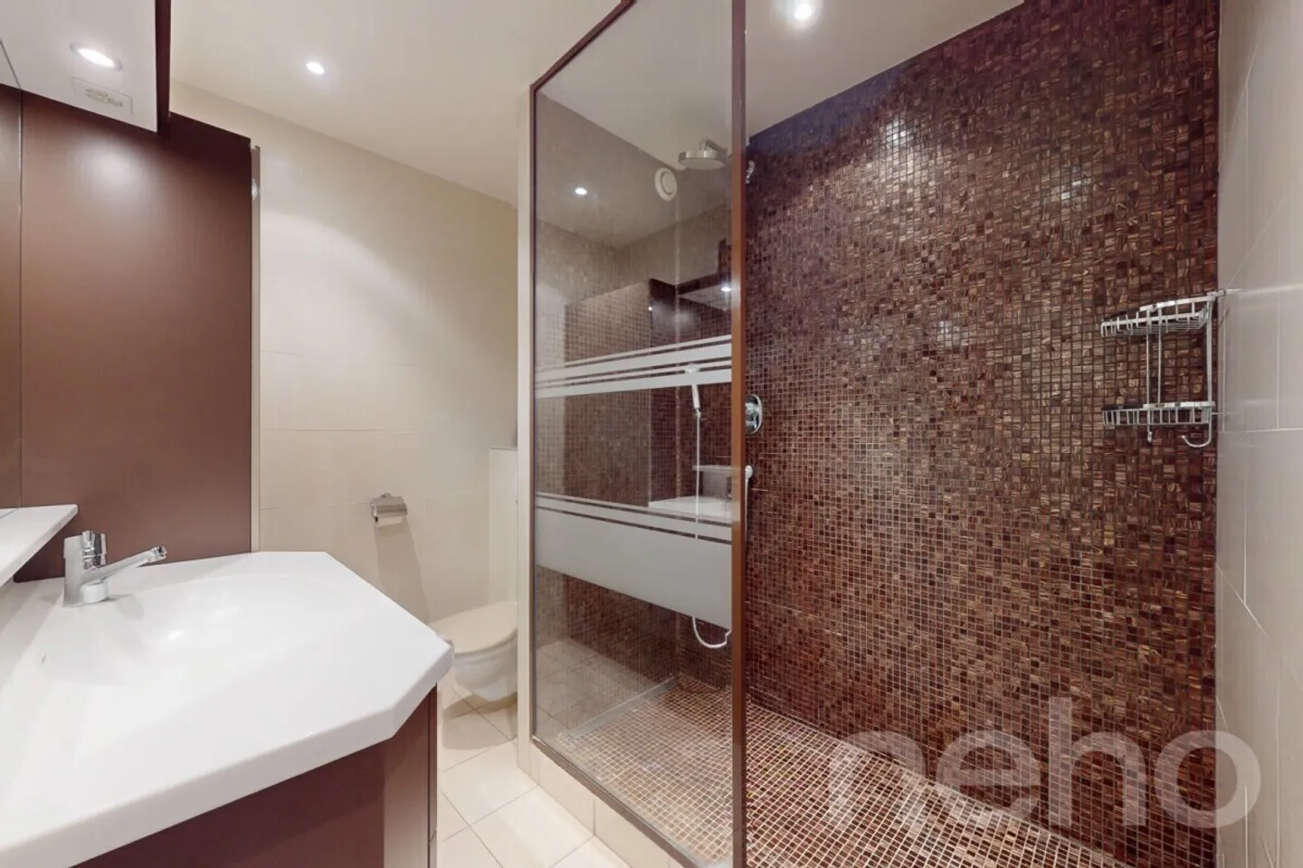 Bright and Quiet Apartment – Superb 4.5 Rooms in the Heart of Lancy - Photo 10 of 11