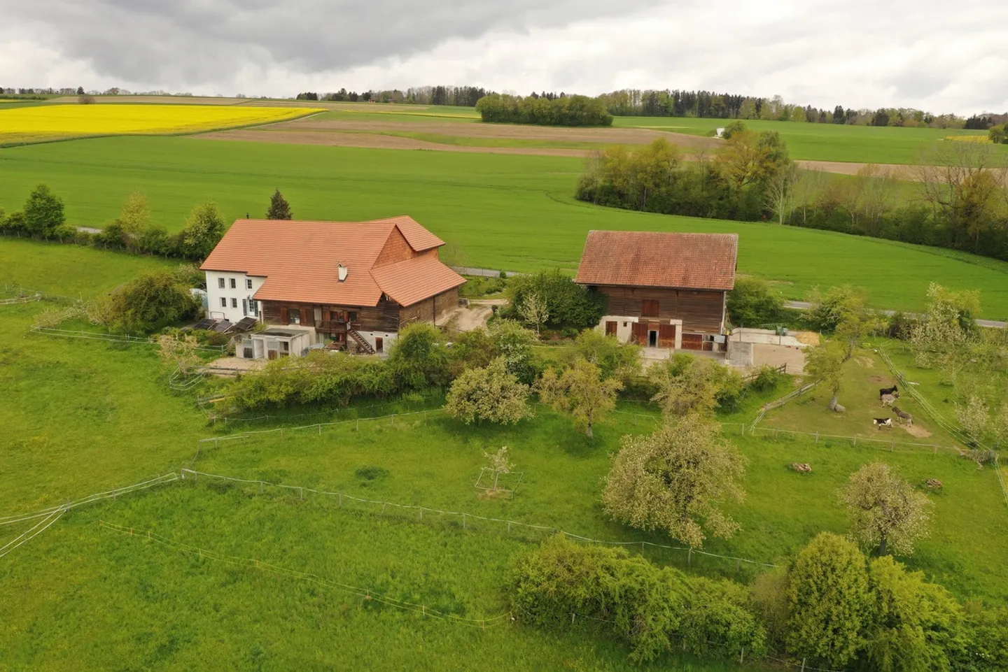 Ferme rénovée de 185 m2, plusieurs écuries, grange,...+ terres - Photo 2 sur 13