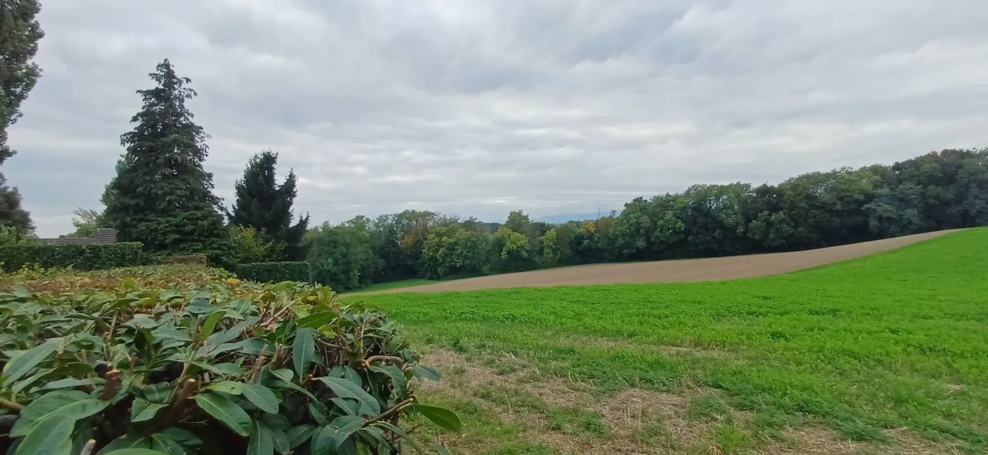 A 5 min. da Morges, VILLA individuale 7.5 in un contesto rurale in vendita. - Foto 6 di 13