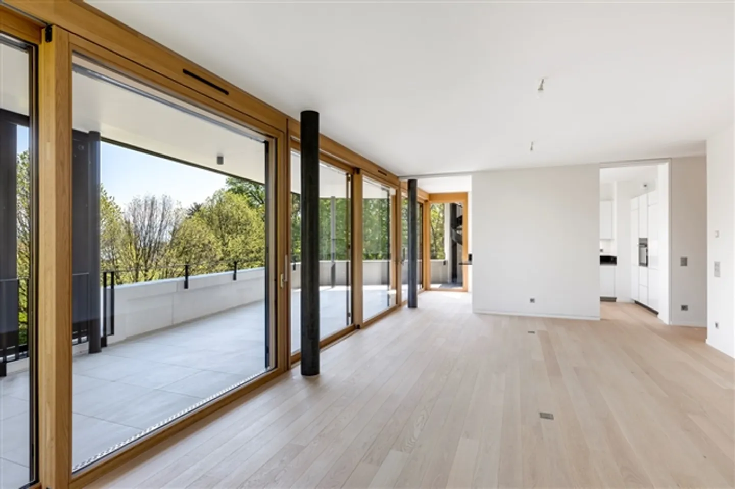 New 7-Room Apartment with Rooftop Terrace and Lake View - Photo 2 of 6