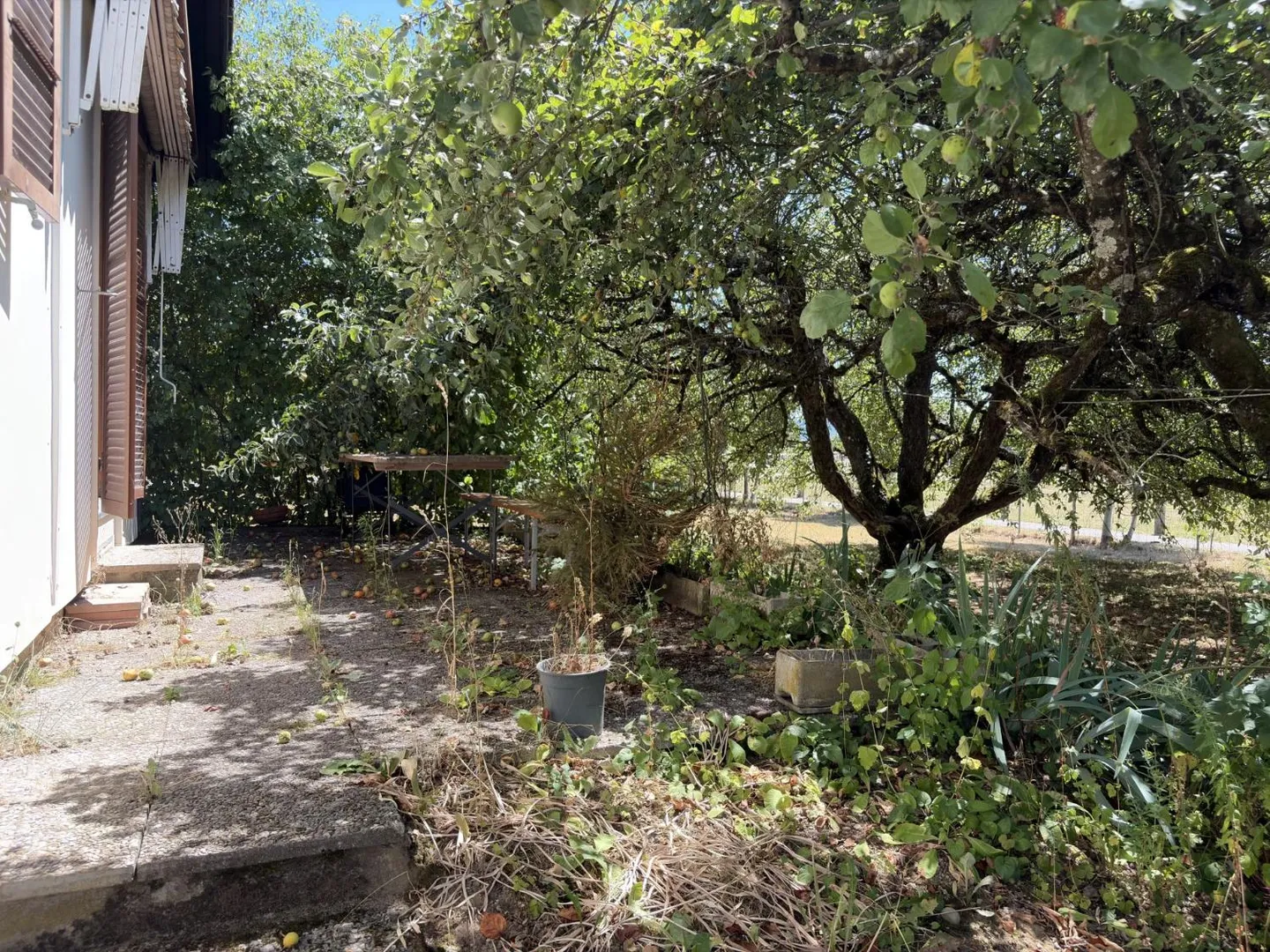 4-Zimmer-Haus - Foto 4 von 13