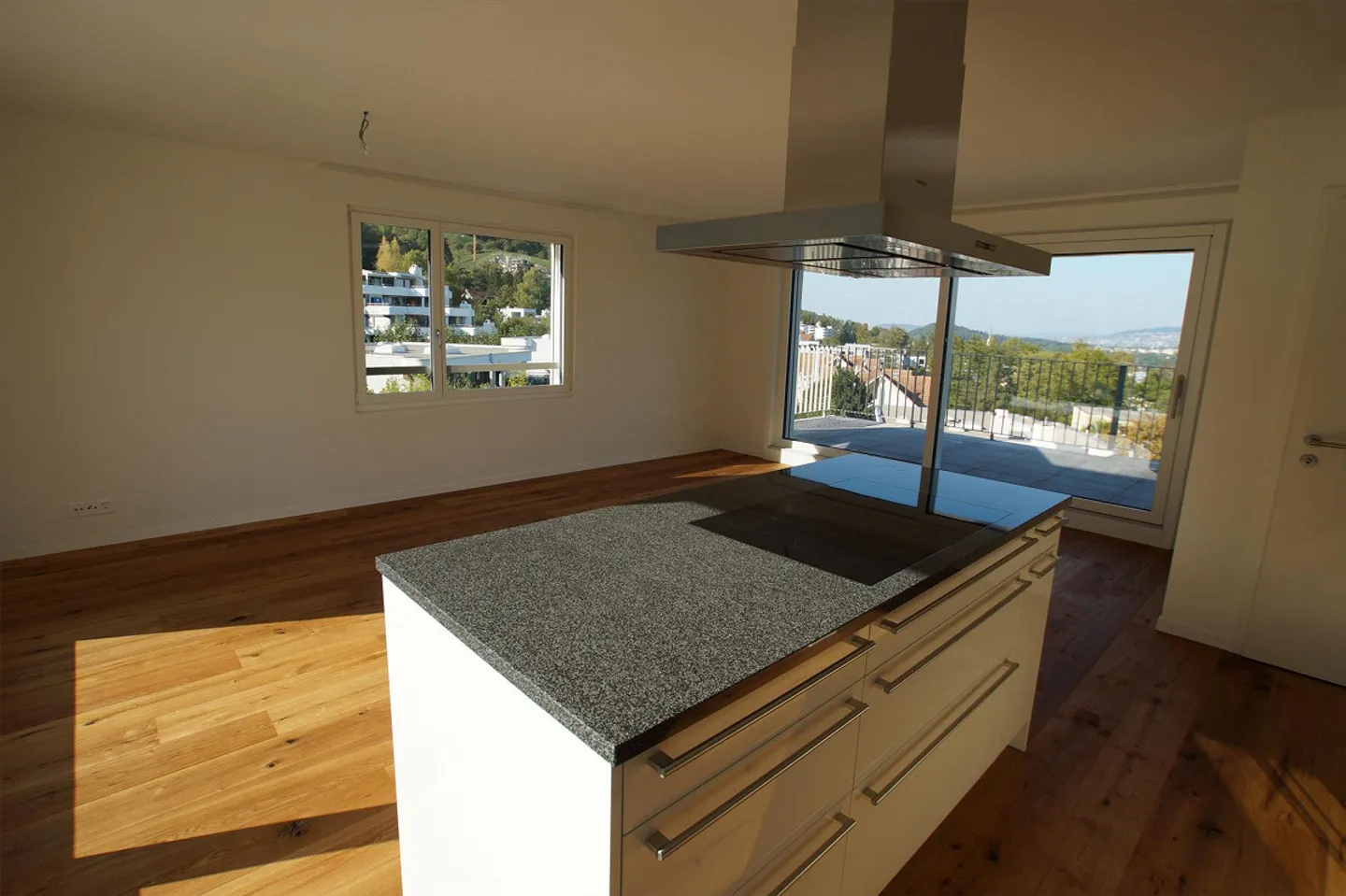 Charming Attic Apartment in Adliswil - Photo 3 of 12