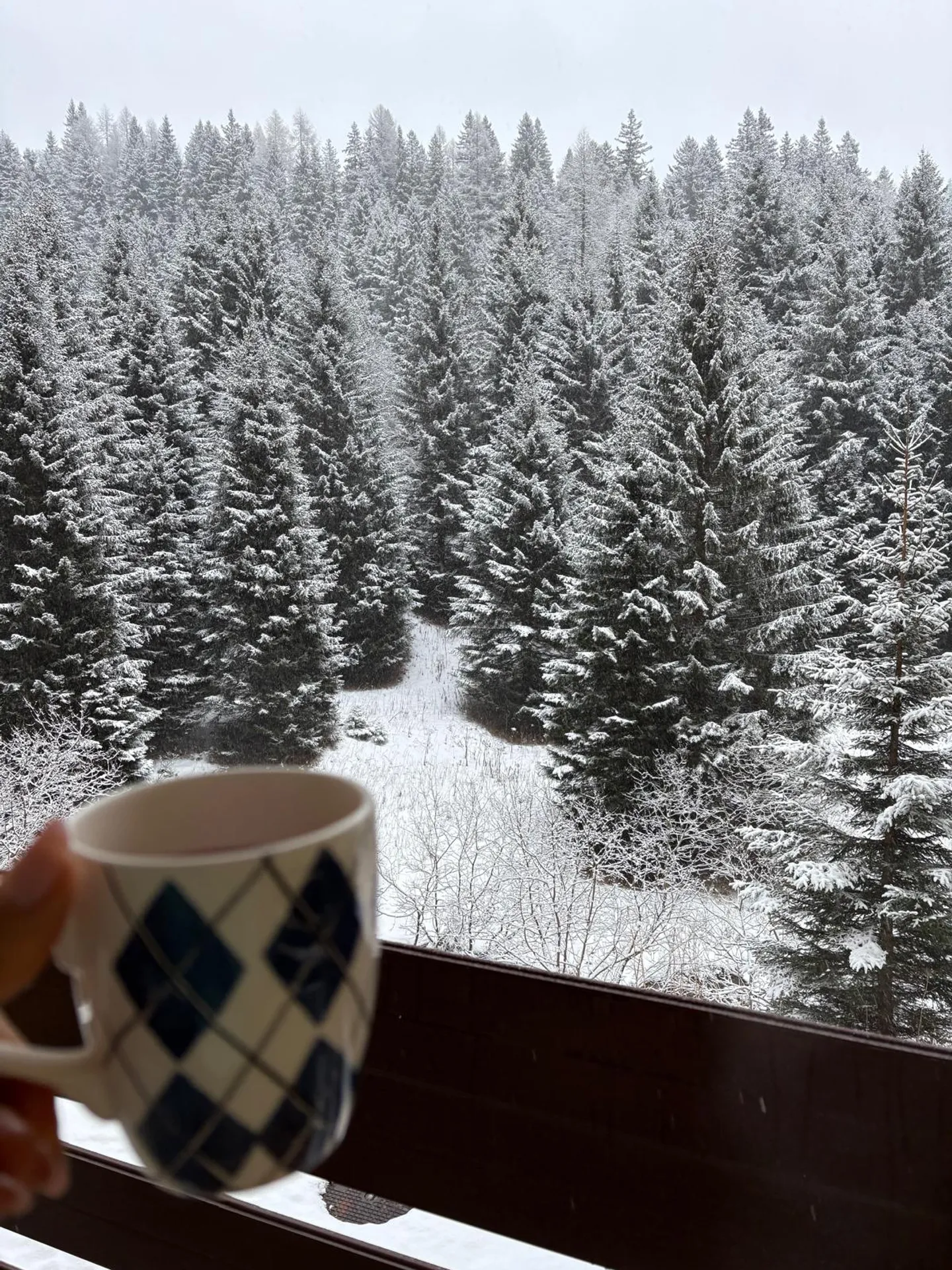 La tua vacanza in montagna, con piscina! - Foto 1 di 12