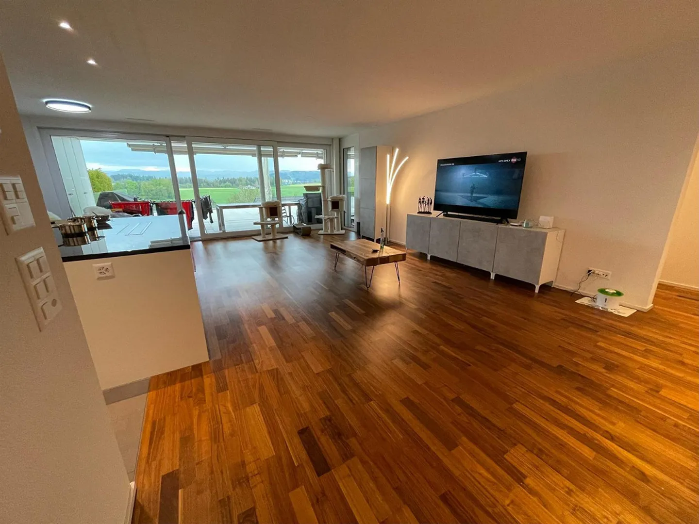 Modern apartment with large terrace and Säntis view - Photo 5 of 13