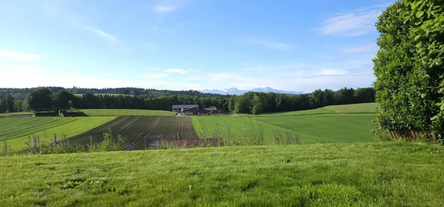 Geräumige Wohnung mit Garten - Foto 12 von 13