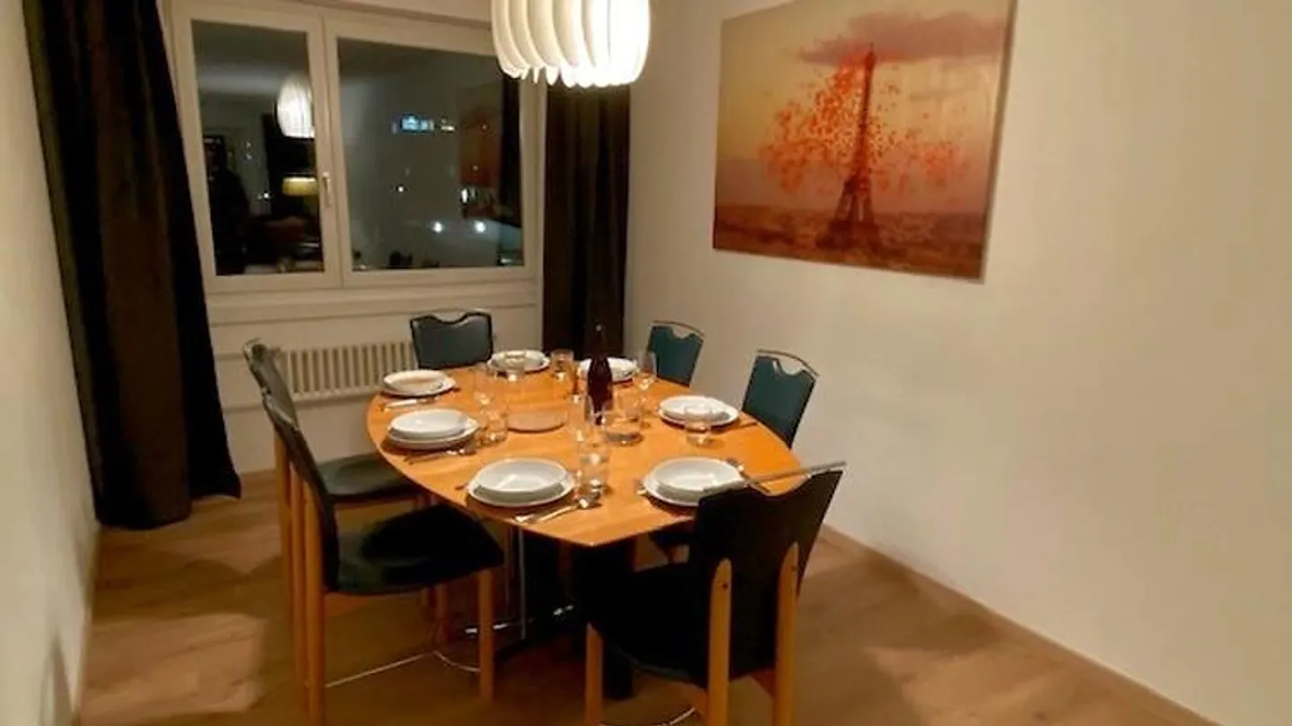 5½ ROOM APARTMENT IN VOLKETSWIL (ZH), FURNISHED - Photo 2 of 10