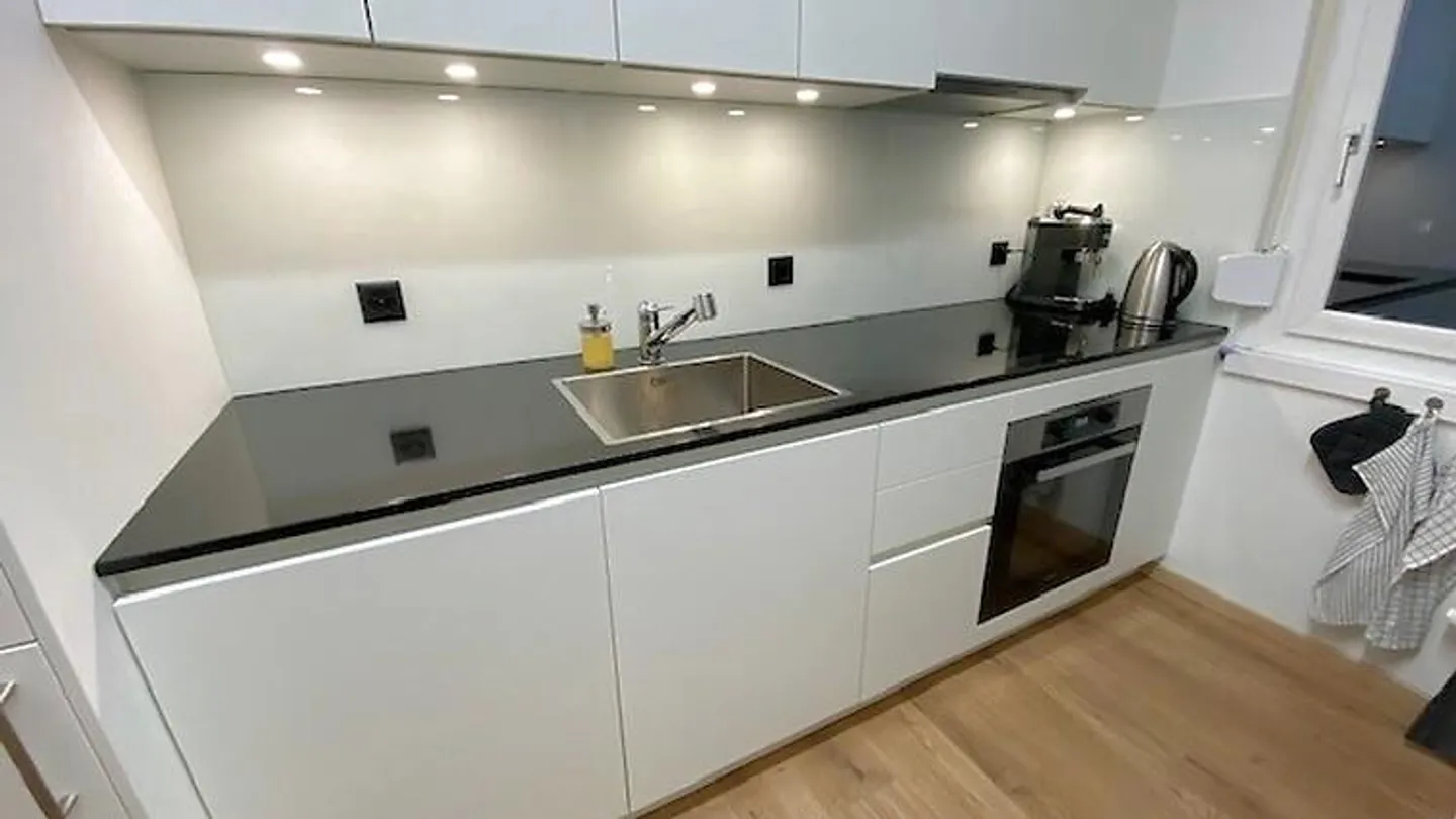 5½ ROOM APARTMENT IN VOLKETSWIL (ZH), FURNISHED - Photo 3 of 10