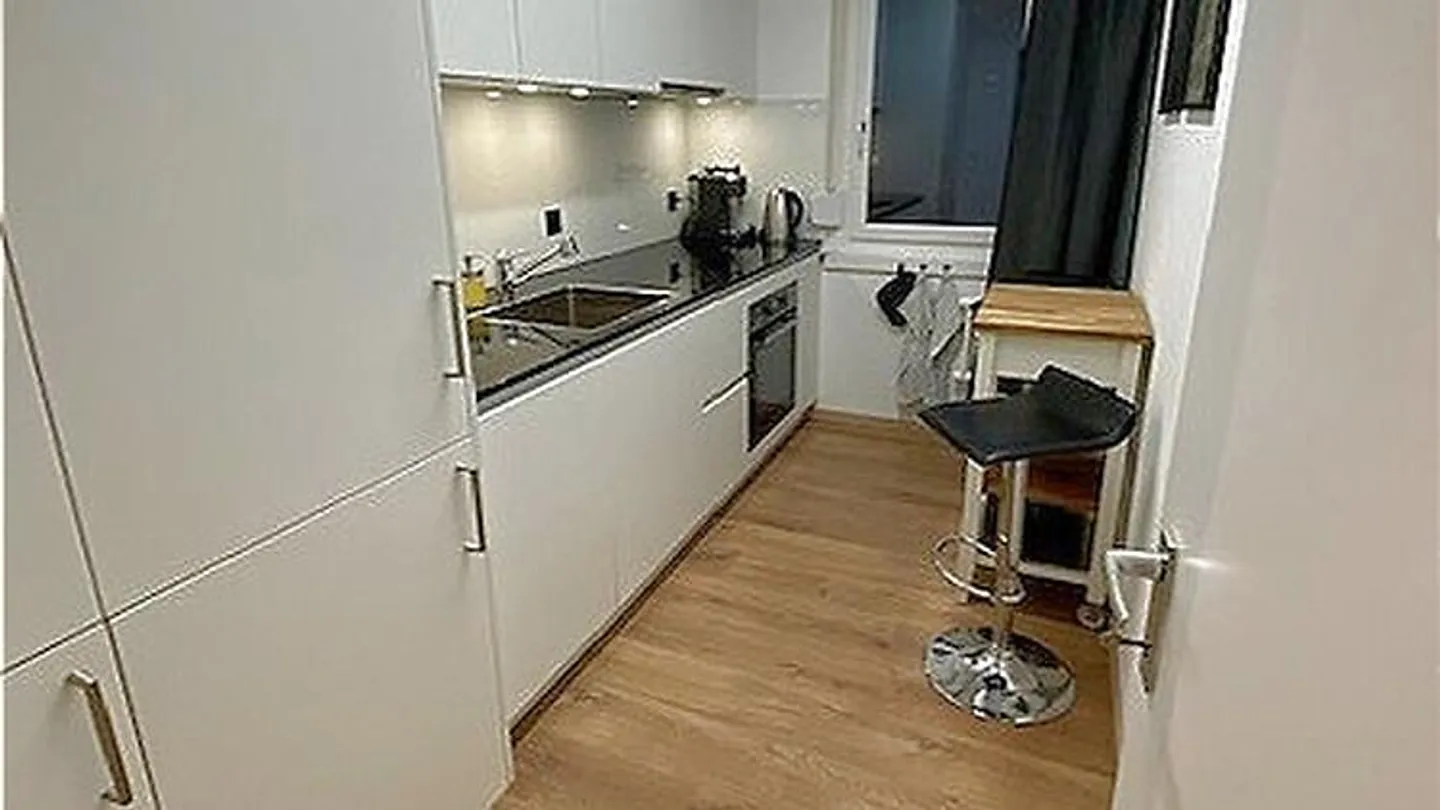 5½ ROOM APARTMENT IN VOLKETSWIL (ZH), FURNISHED - Photo 4 of 10