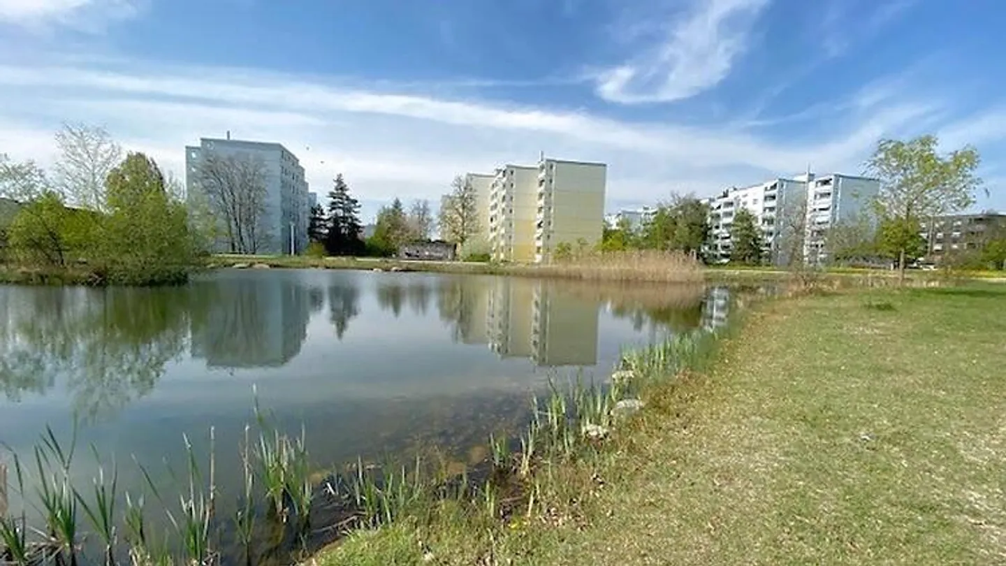 5½ ROOM APARTMENT IN VOLKETSWIL (ZH), FURNISHED - Photo 9 of 10