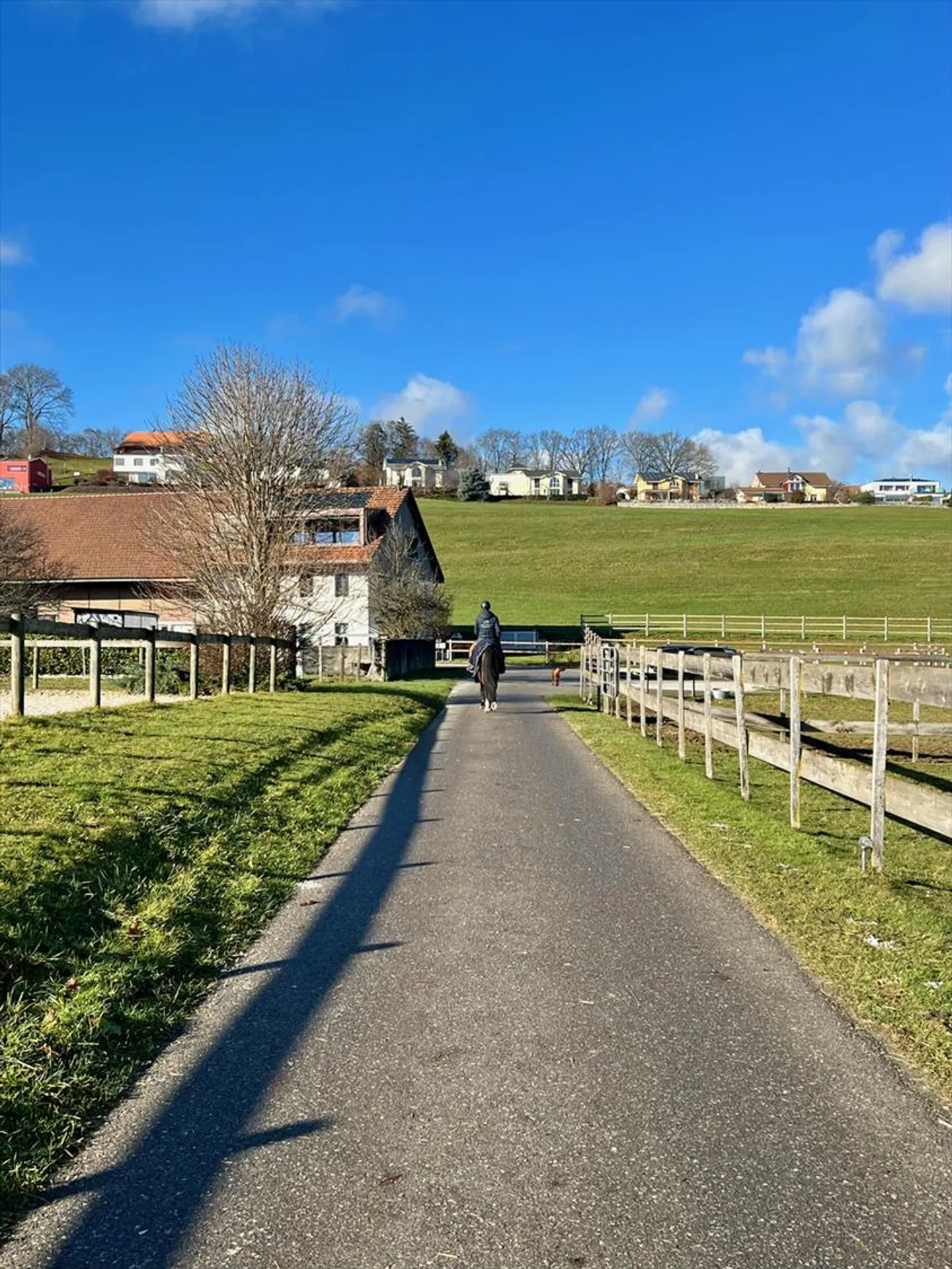 Riding School for Sale in the Canton of Fribourg - Photo 1 of 2