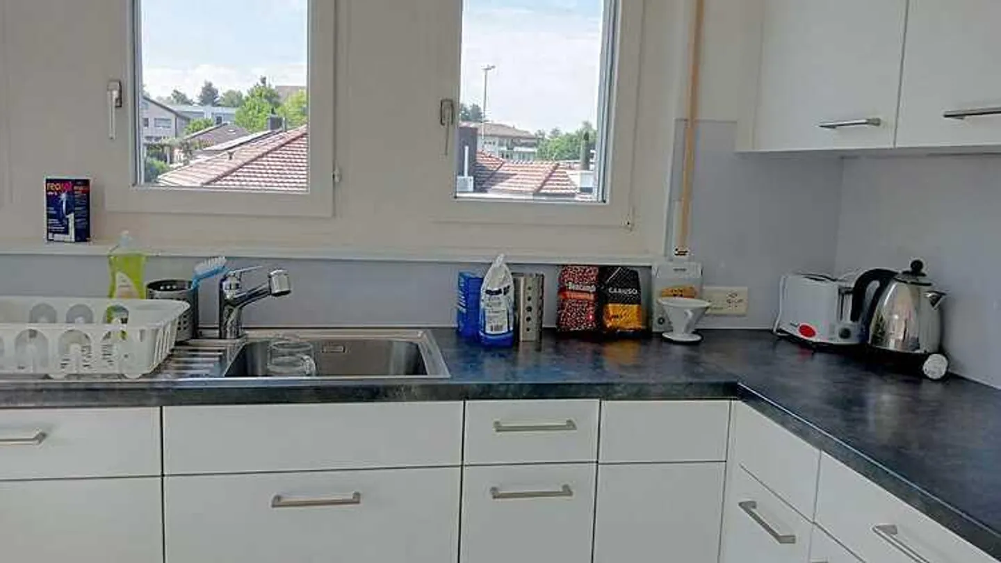 5-room apartment in Egg near Zurich (ZH), furnished - Photo 3 of 10