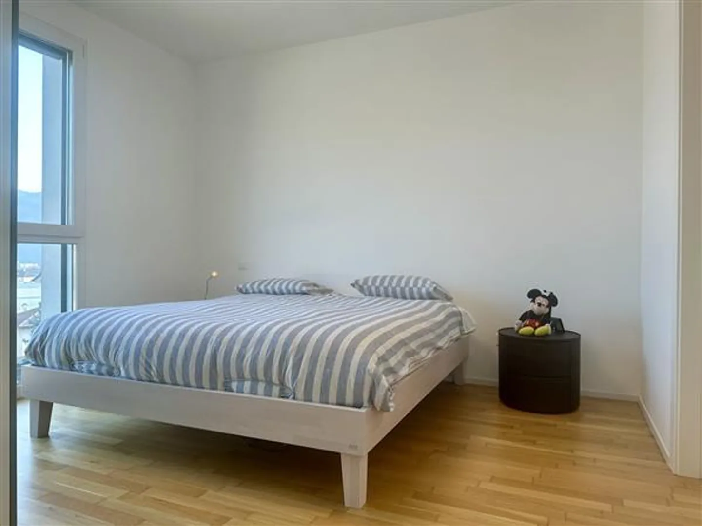 Balerna: 3.5-room apartment - Photo 13 of 13