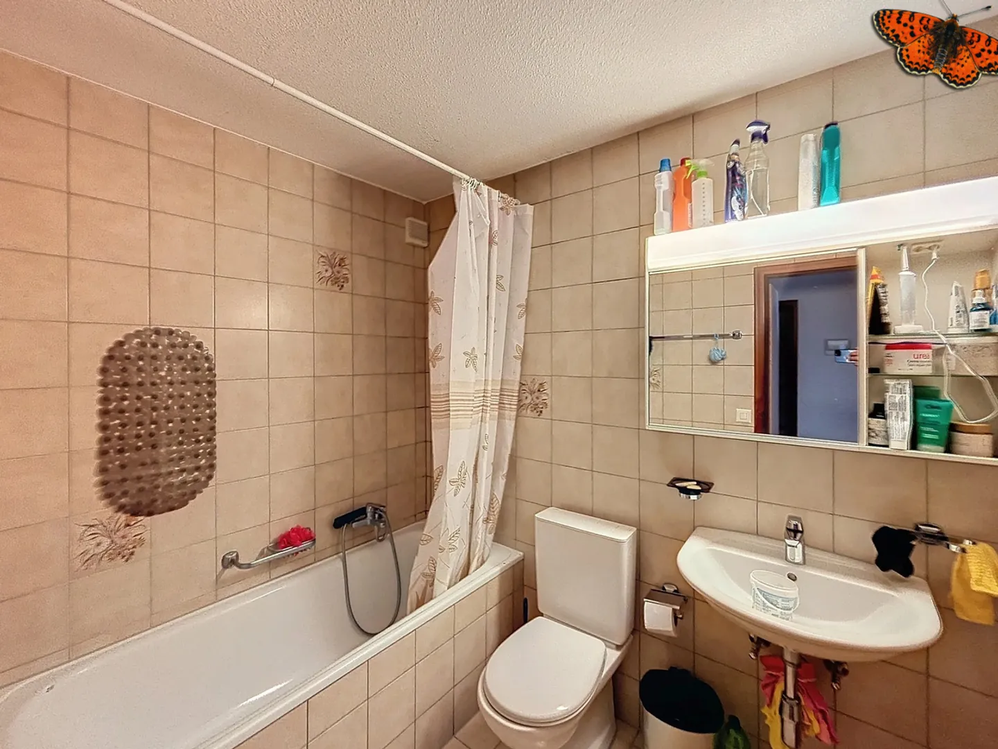 Renovated Apartment in Lucens - Photo 4 of 8