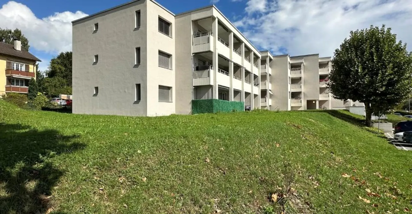 Renovierte Wohnung an der Limmat - Foto 1 von 7