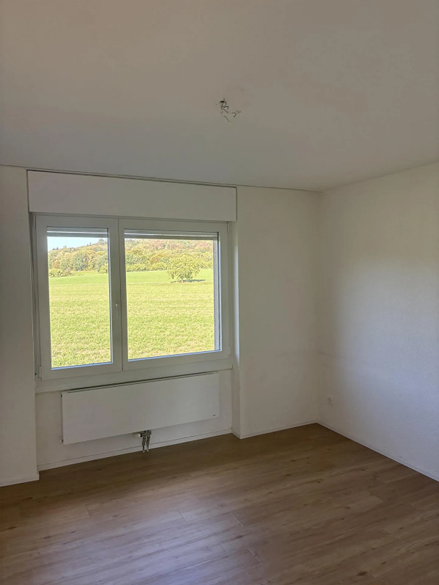 Appartement lumineux de 4.5 pièces avec une belle vue sur la verdure - Photo 8 sur 12