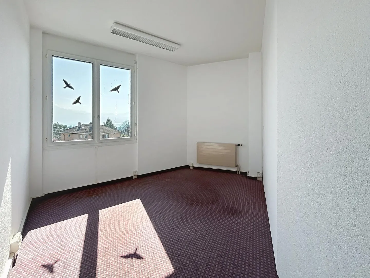 Büro - Foto 2 von 5