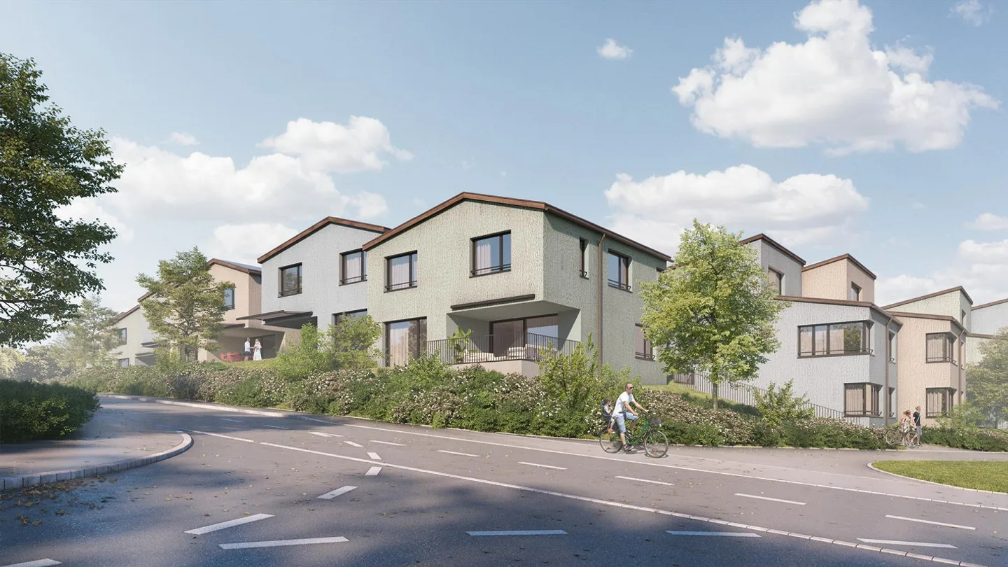 Neubauprojekt 25 Häuser im Grünen in Benzenschwil AG - Foto 3 von 8