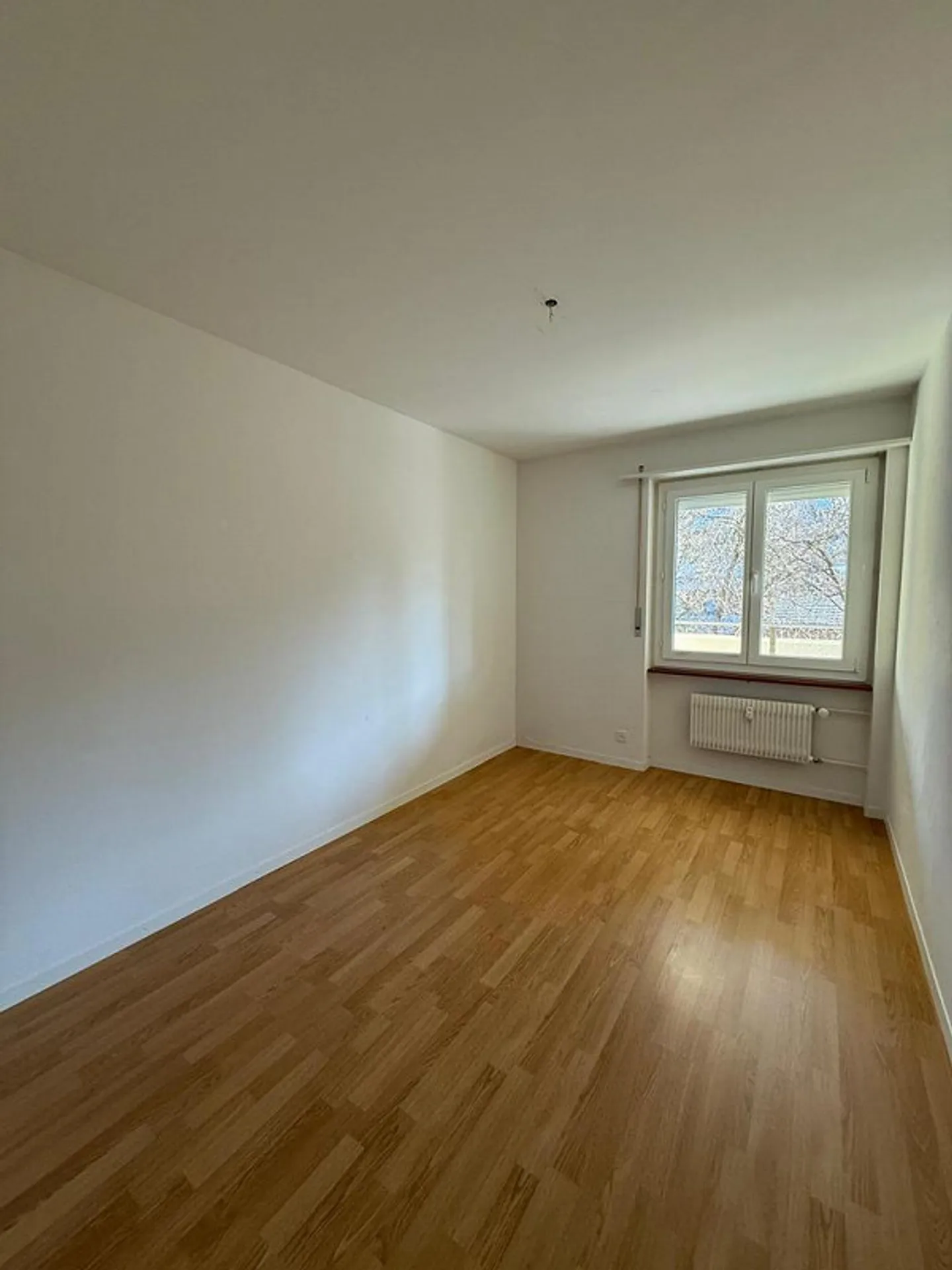 Spacious 5-room apartment next to Liebefeld Park - Photo 6 of 12