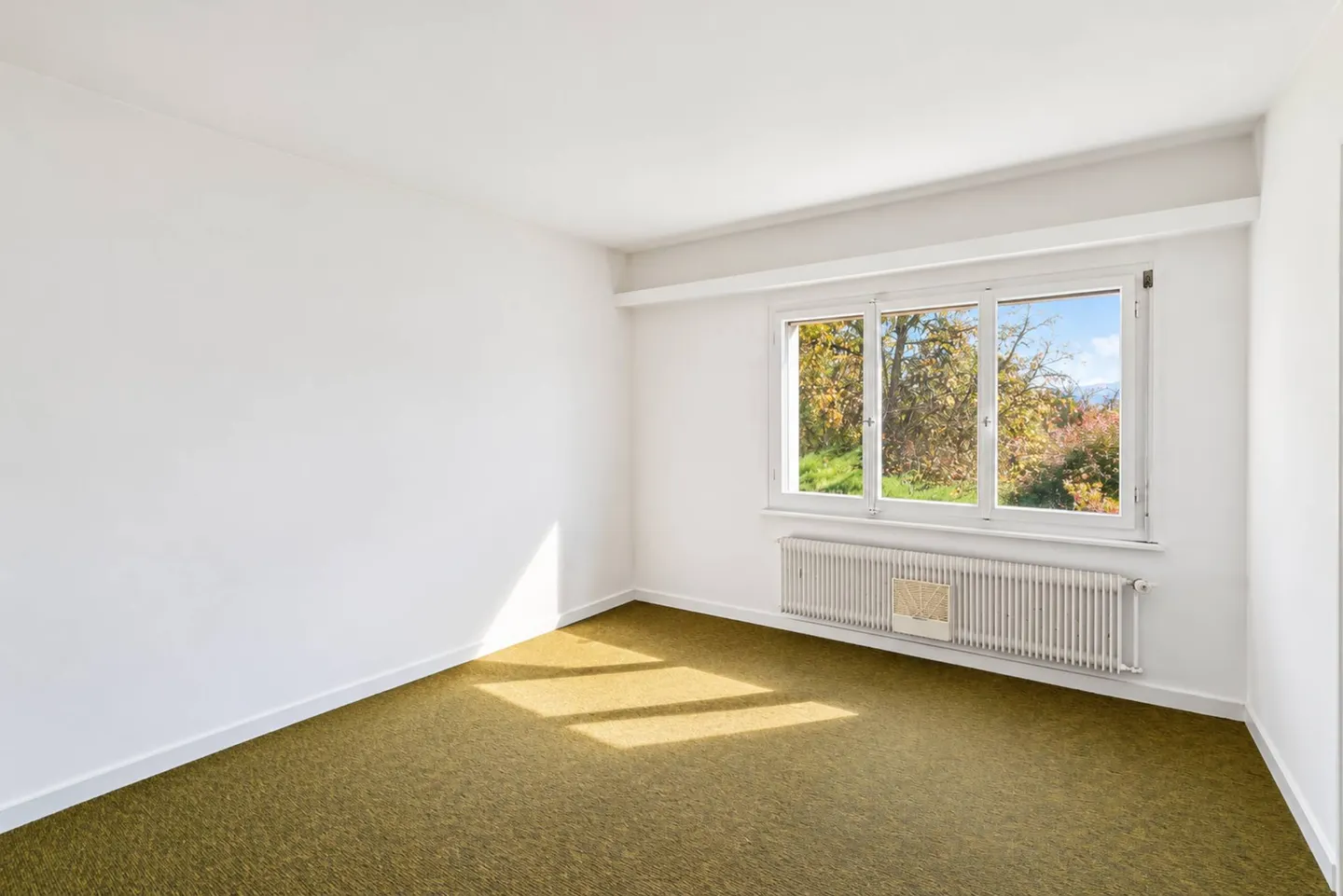 Spacious Villa in Meyrin - Photo 9 of 13