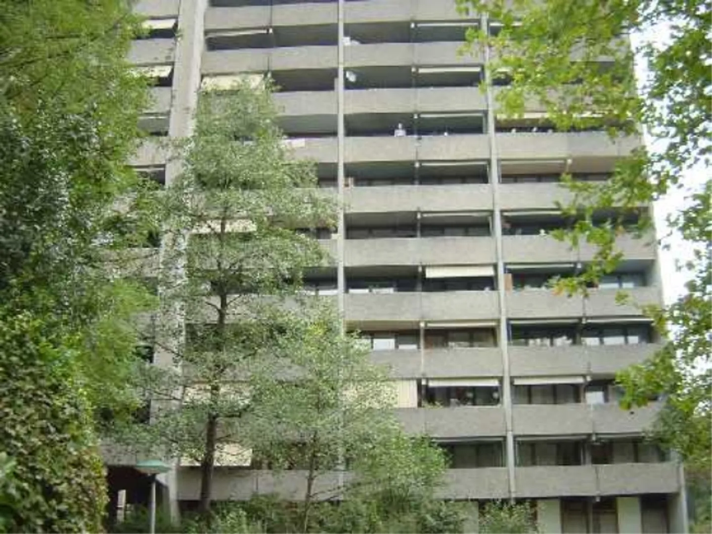 Living in a green environment - Photo 2 of 4