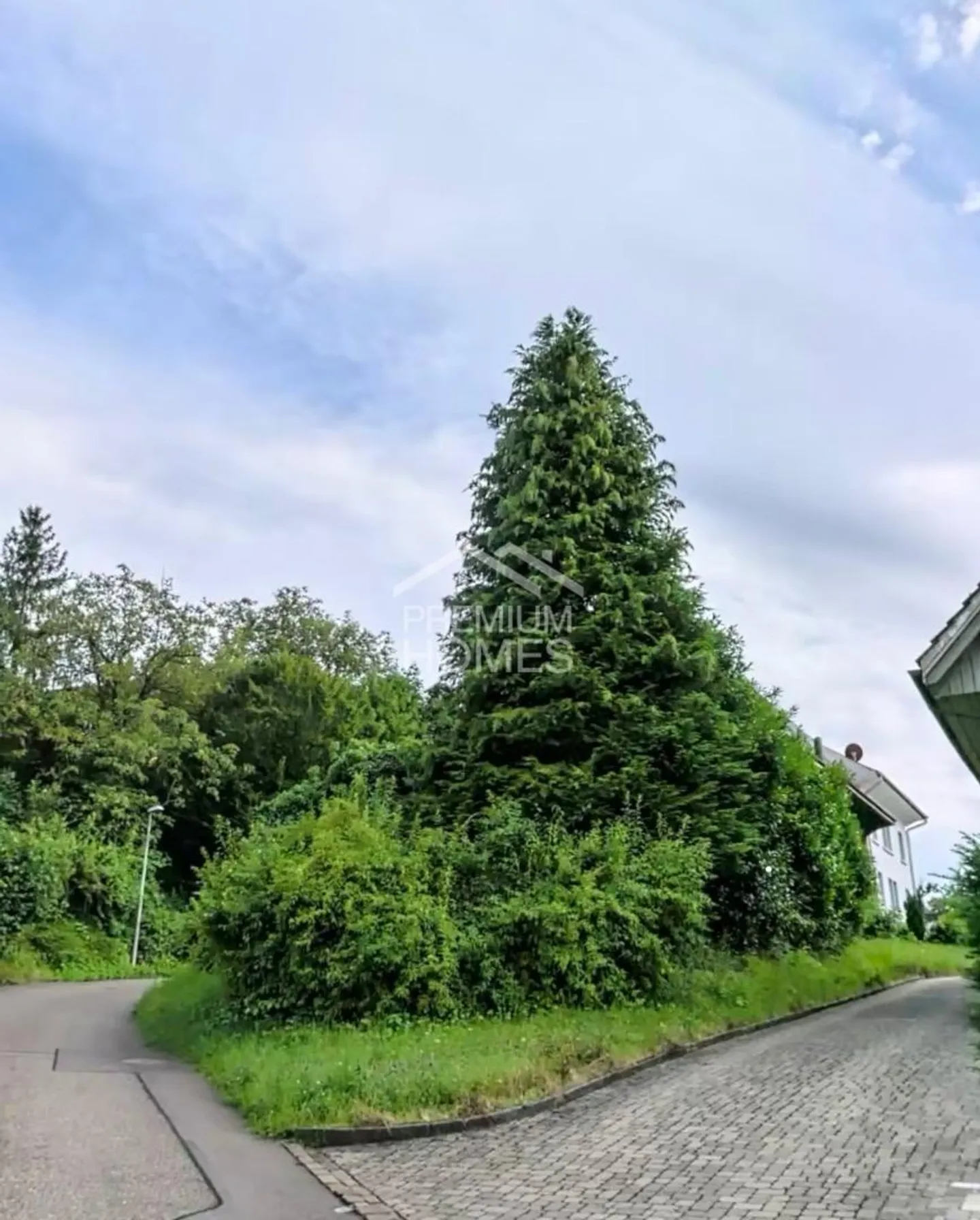 Progetta il tuo mini-paradiso - Foto 5 di 6