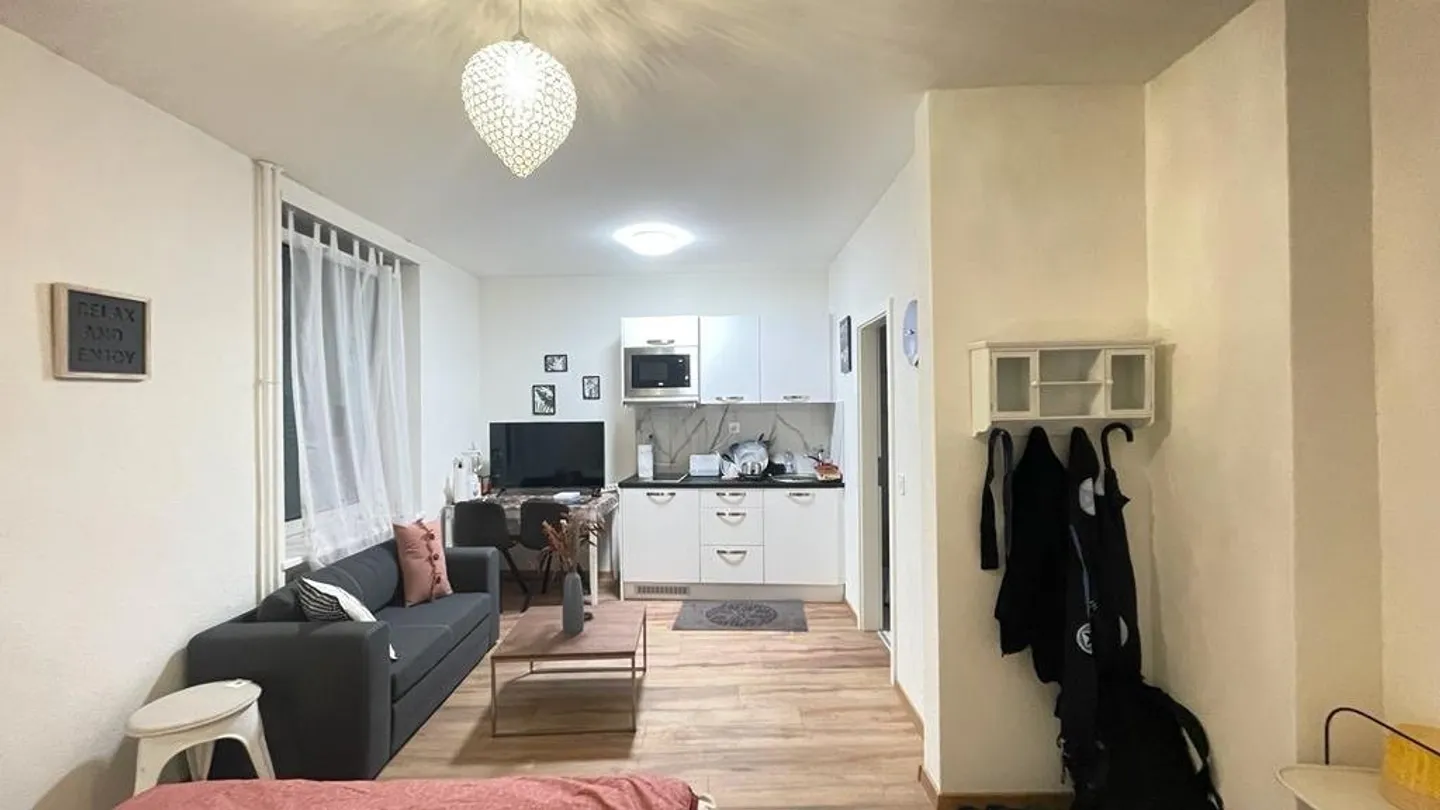 Furnished apartment for rent - Photo 3 of 11