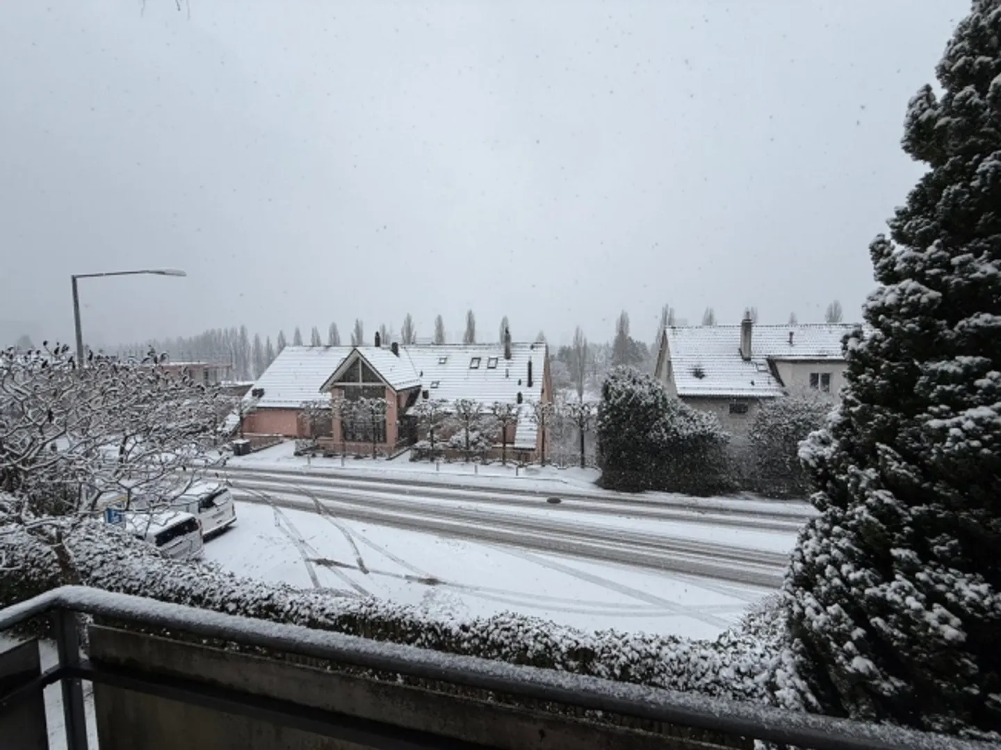 Appartamento attraente con 2 camere in una bella posizione a Zurigo-Höngg - Foto 9 di 10