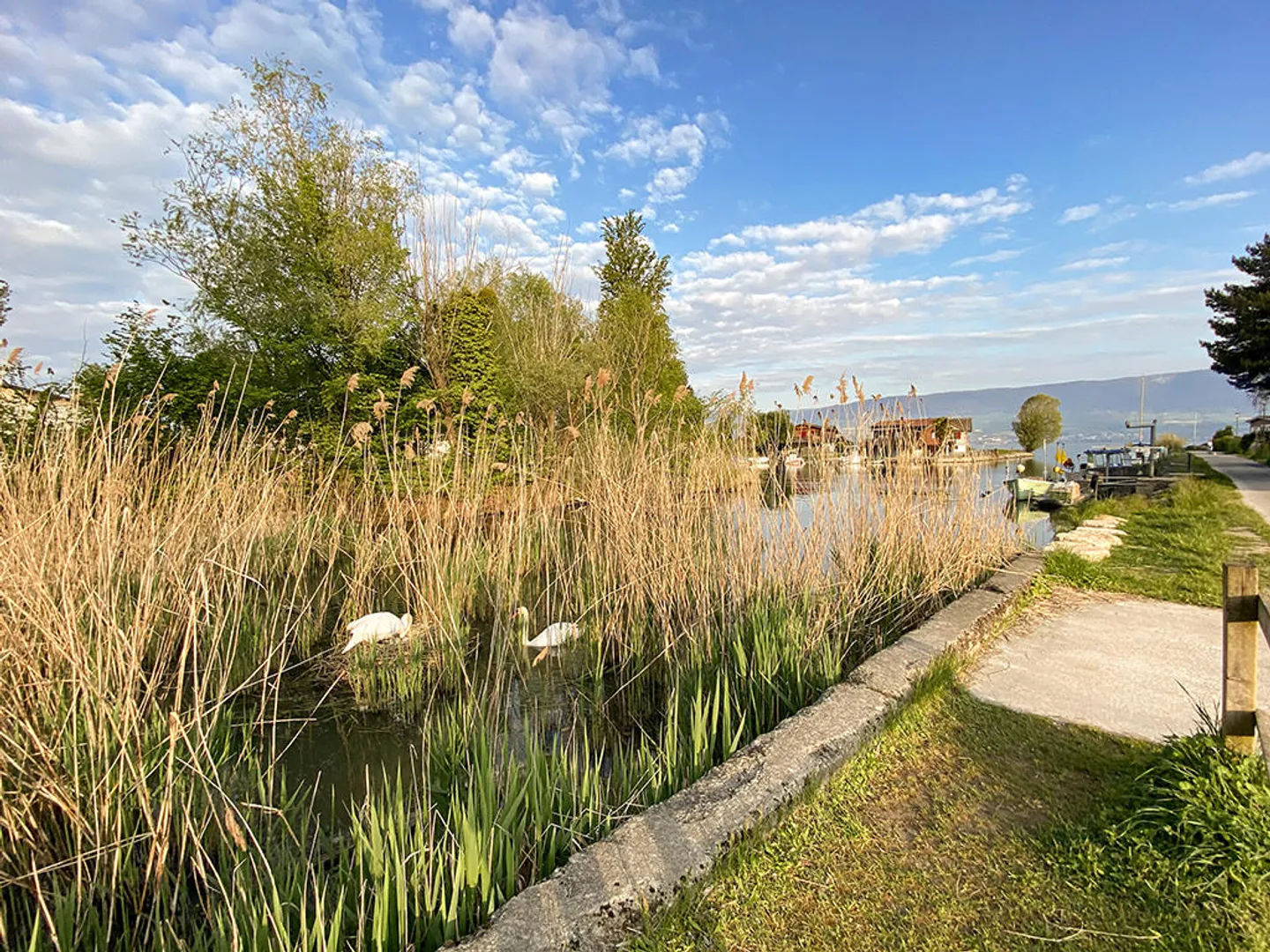 Wohngebäude 20,5 Zimmer - Foto 1 von 3