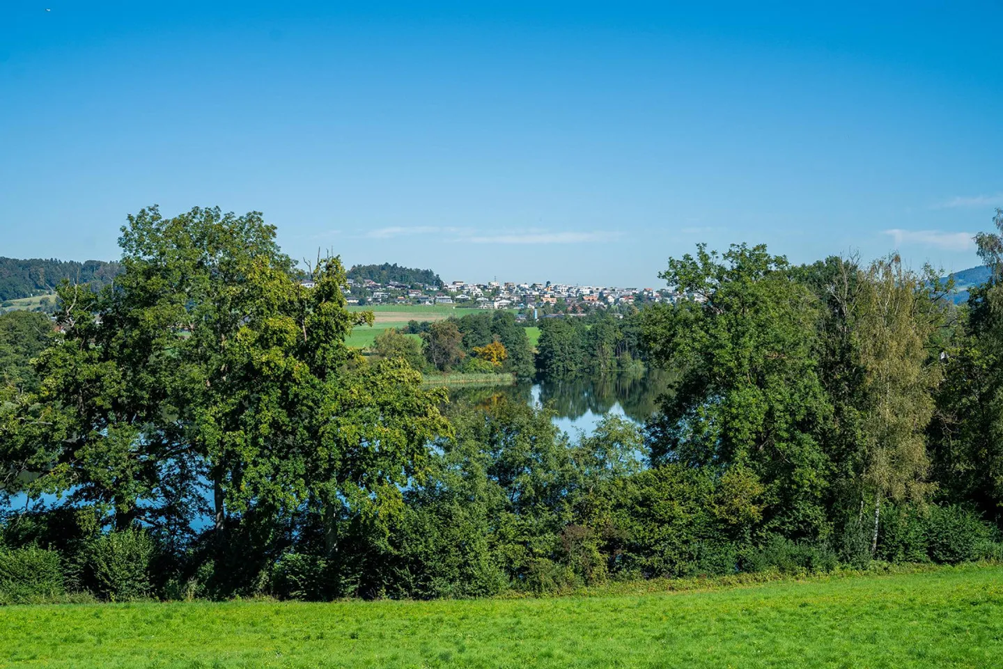 Looking for a new home for your family? - Photo 6 of 7