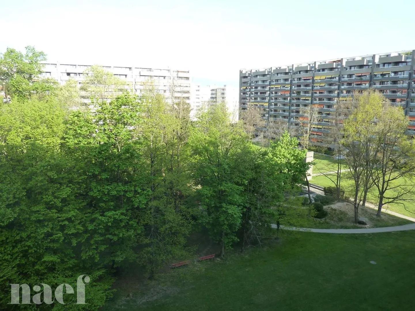 2.5 Room Apartment - Photo 2 of 2