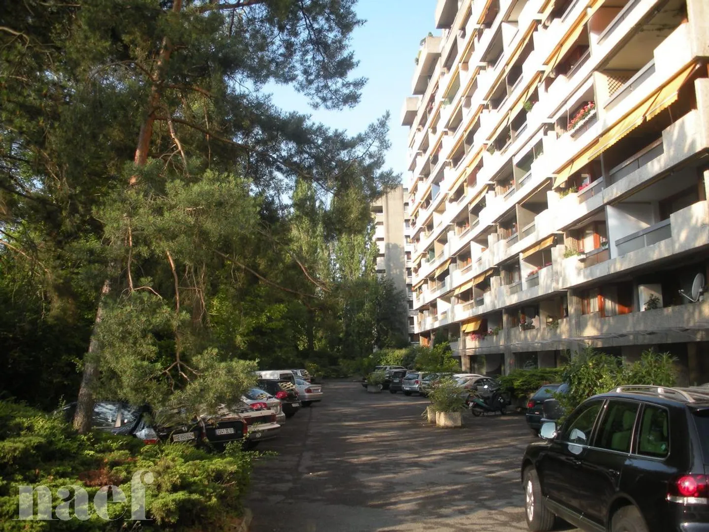 2.5 Room Apartment - Photo 1 of 2