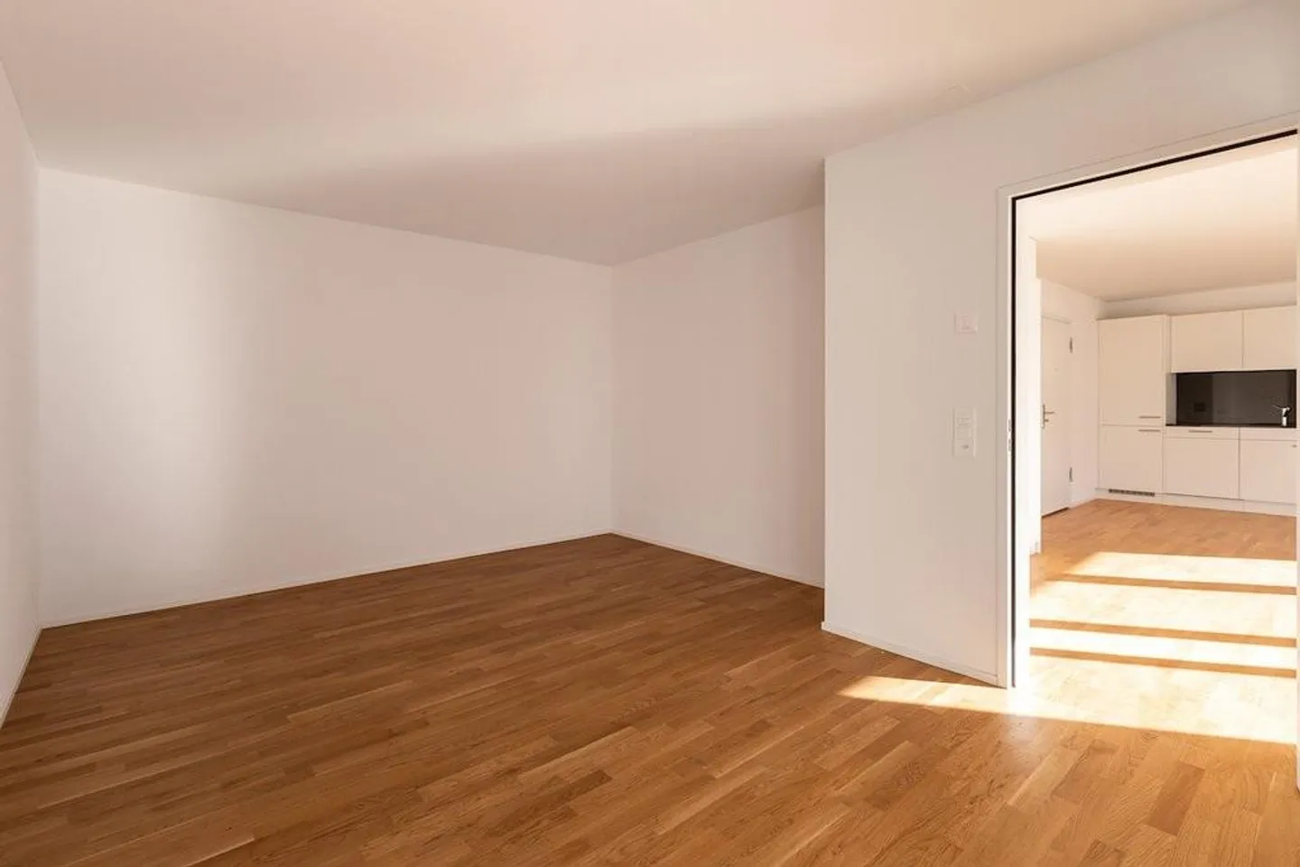 Modern Apartment near Lake - Photo 5 of 8