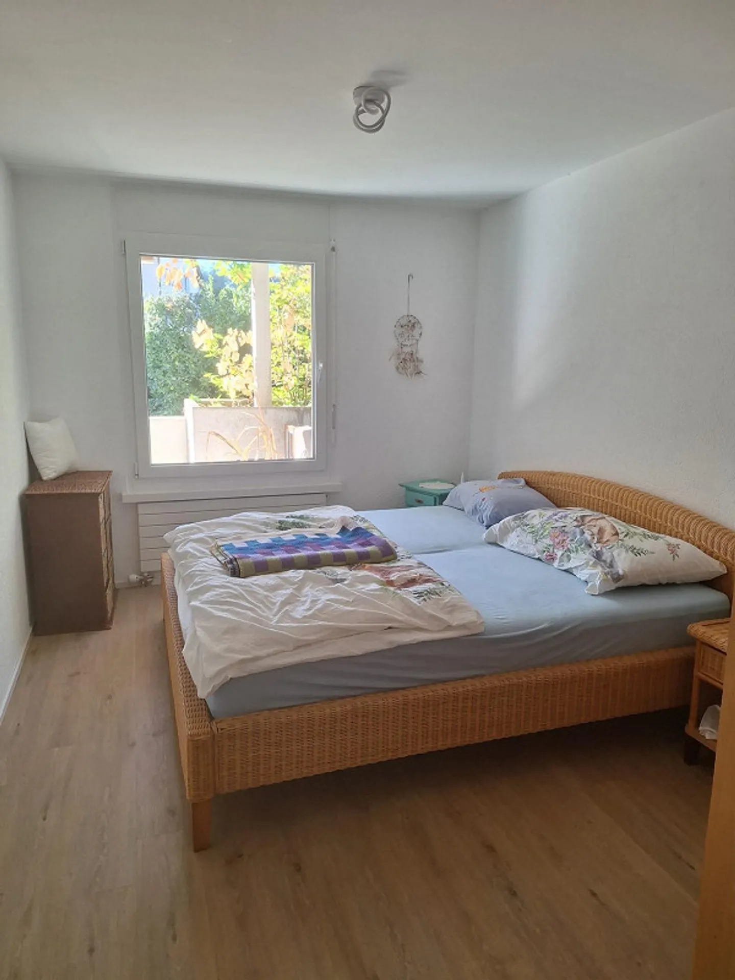 Appartamento 2,5 locali in affitto - Cercasi nuovo inquilino - Foto 5 di 10