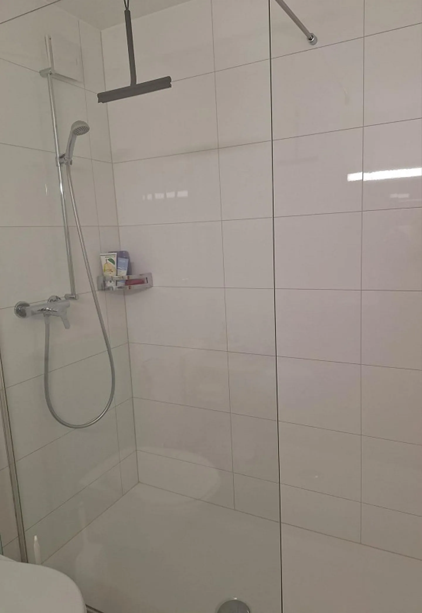 Appartamento 2,5 locali in affitto - Cercasi nuovo inquilino - Foto 7 di 10
